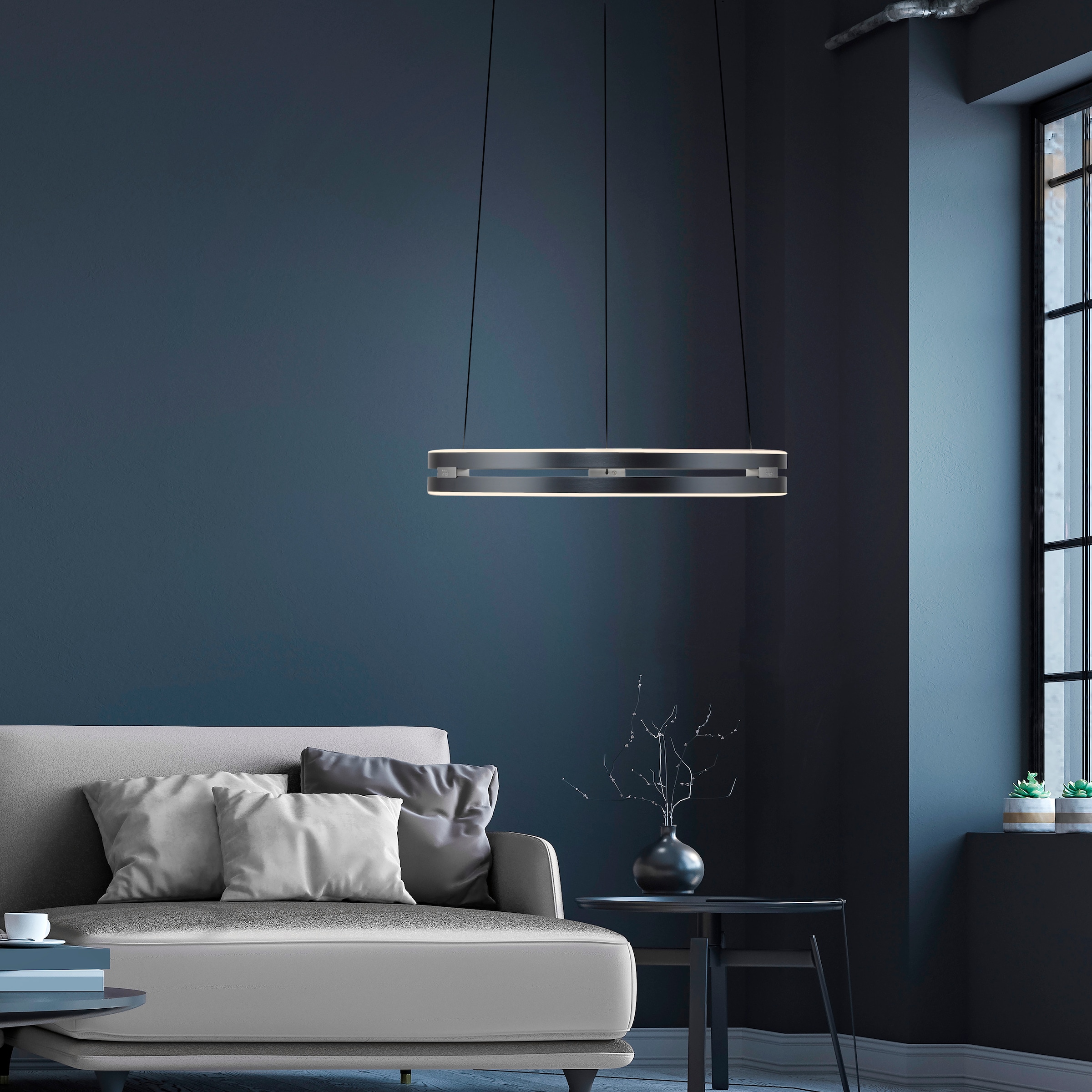 Neuhaus PURE LED Pendelleuchte »PURE E-Loop« LED-Board 1 Stk. warmweiß - kaltweiß e-LIFT® Funktion, CCT, dimmbar über Fernbedienung