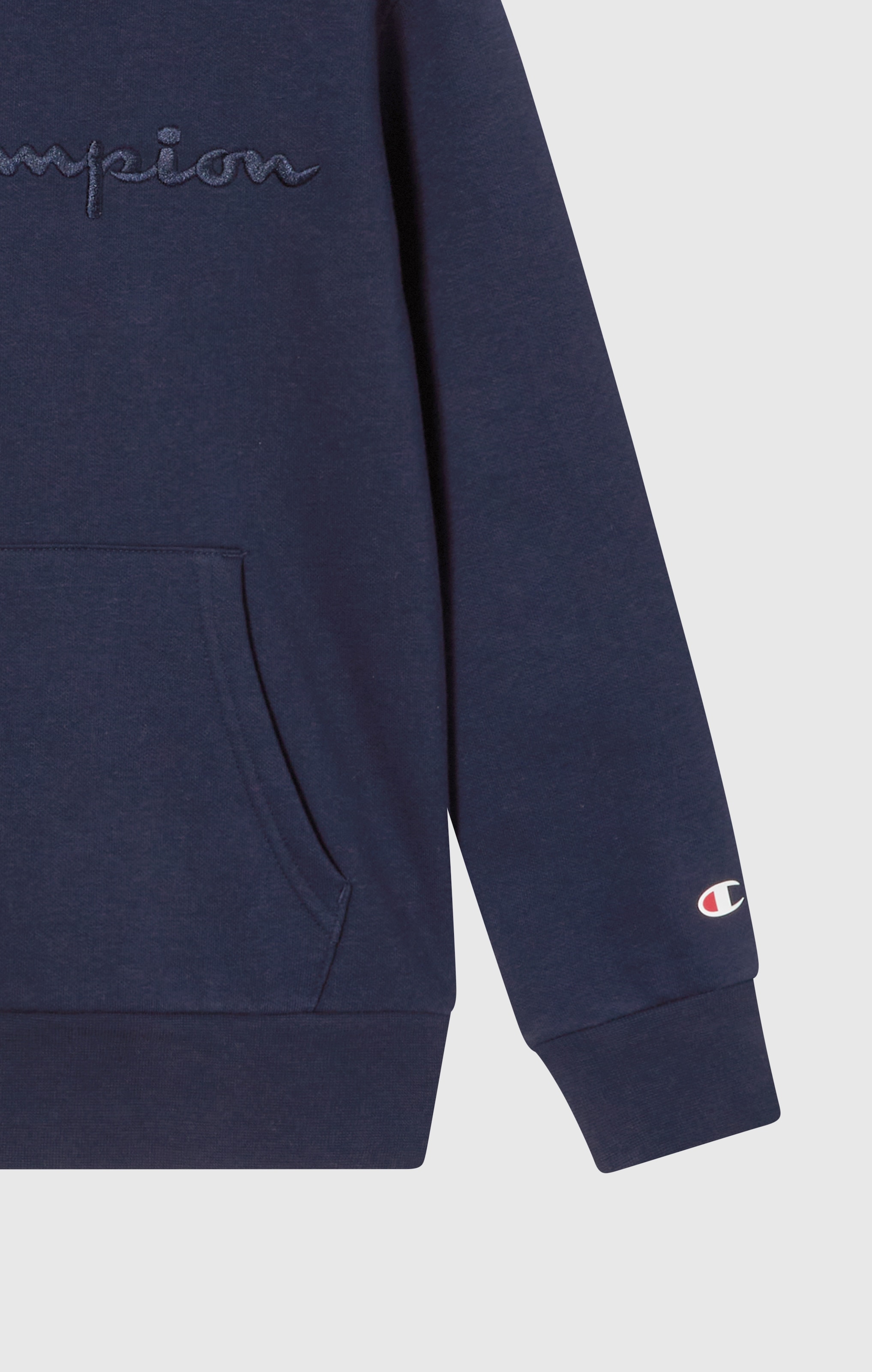 Champion Kapuzensweatshirt »ICONS TONAL Hoodie Large Logo« 1 Stk. tlg.