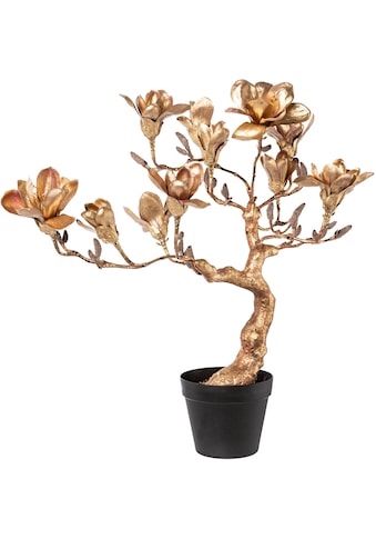 Creativ deco Kunstpflanze »Magnolienbaum«, mit Kunststoffübertopf kaufen