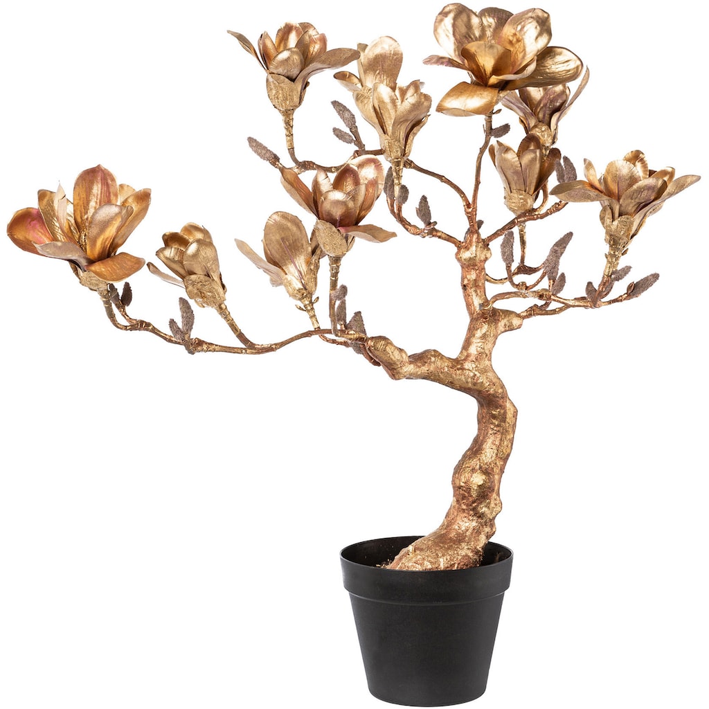 Creativ deco Kunstpflanze »Magnolienbaum«, mit Kunststoffübertopf