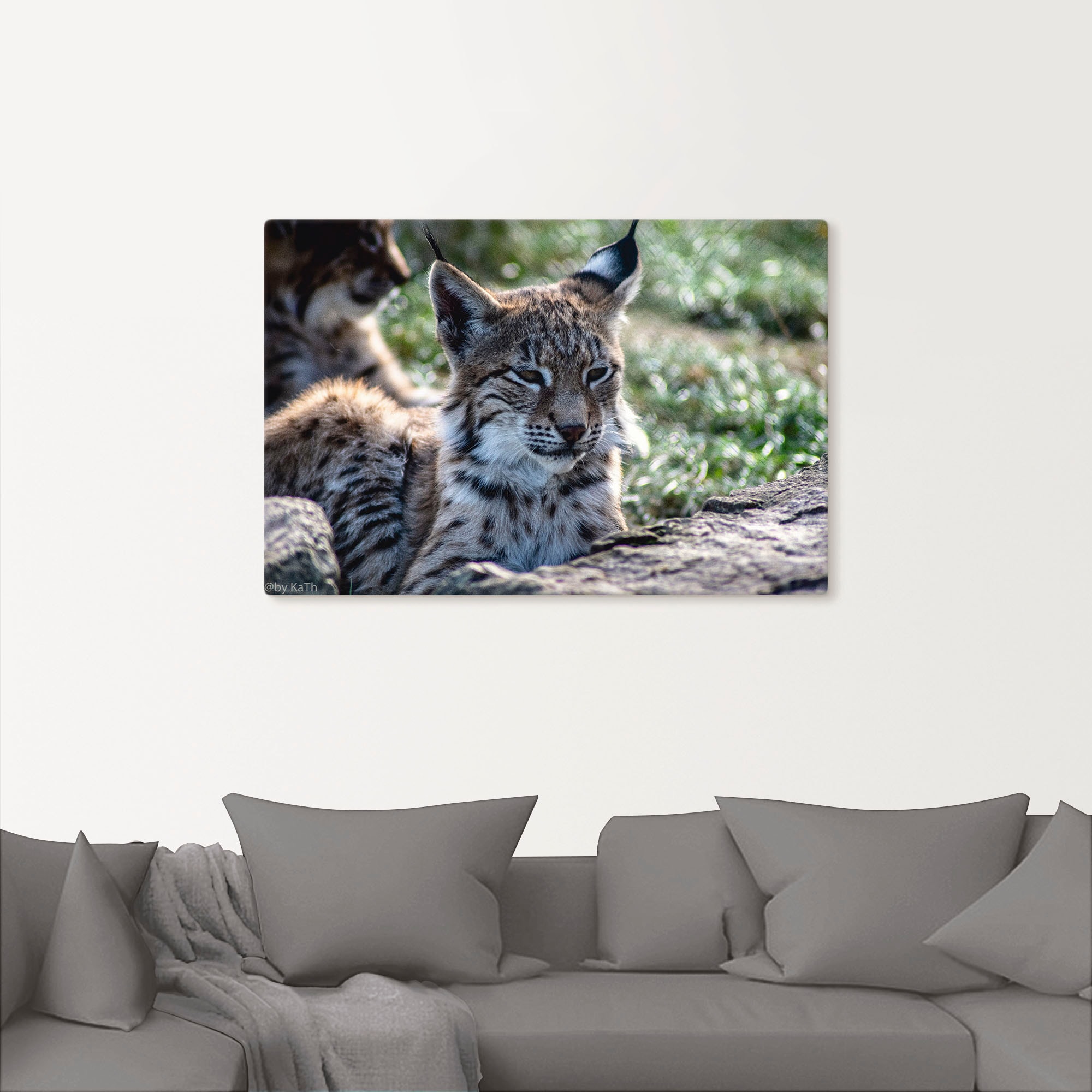 Artland Leinwandbild »Luchs«, Wildtiere, (1 St.), auf Keilrahmen gespannt