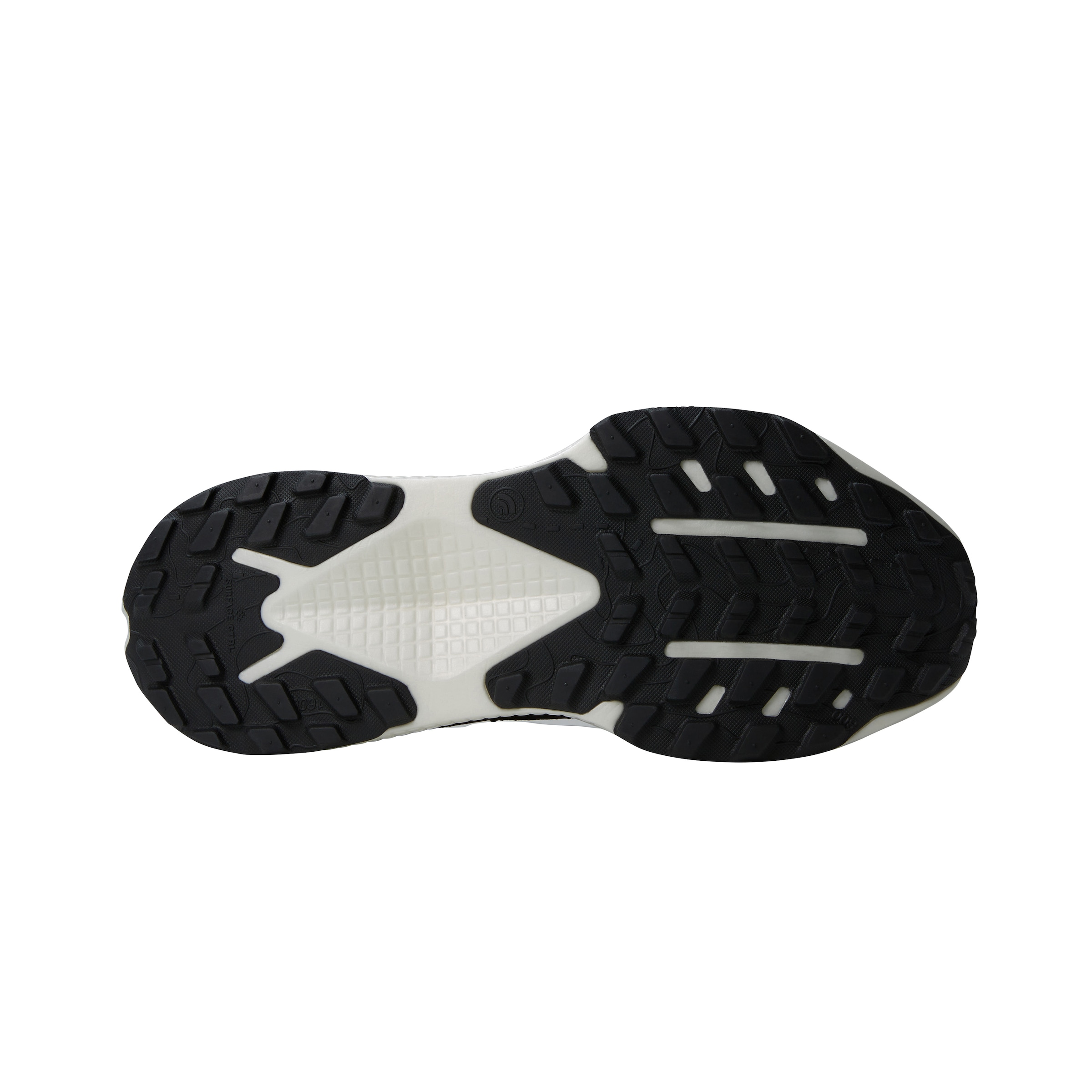 The North Face Trailrunningschuh »W ALTAMESA 500«