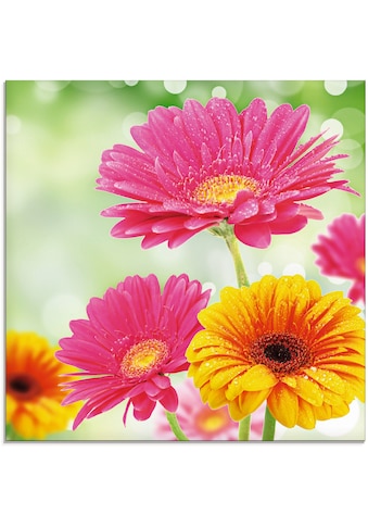 Artland Glasbild »Natürliche Romantik - Gerberas«, Blumen, (1 St.), in verschiedenen... kaufen