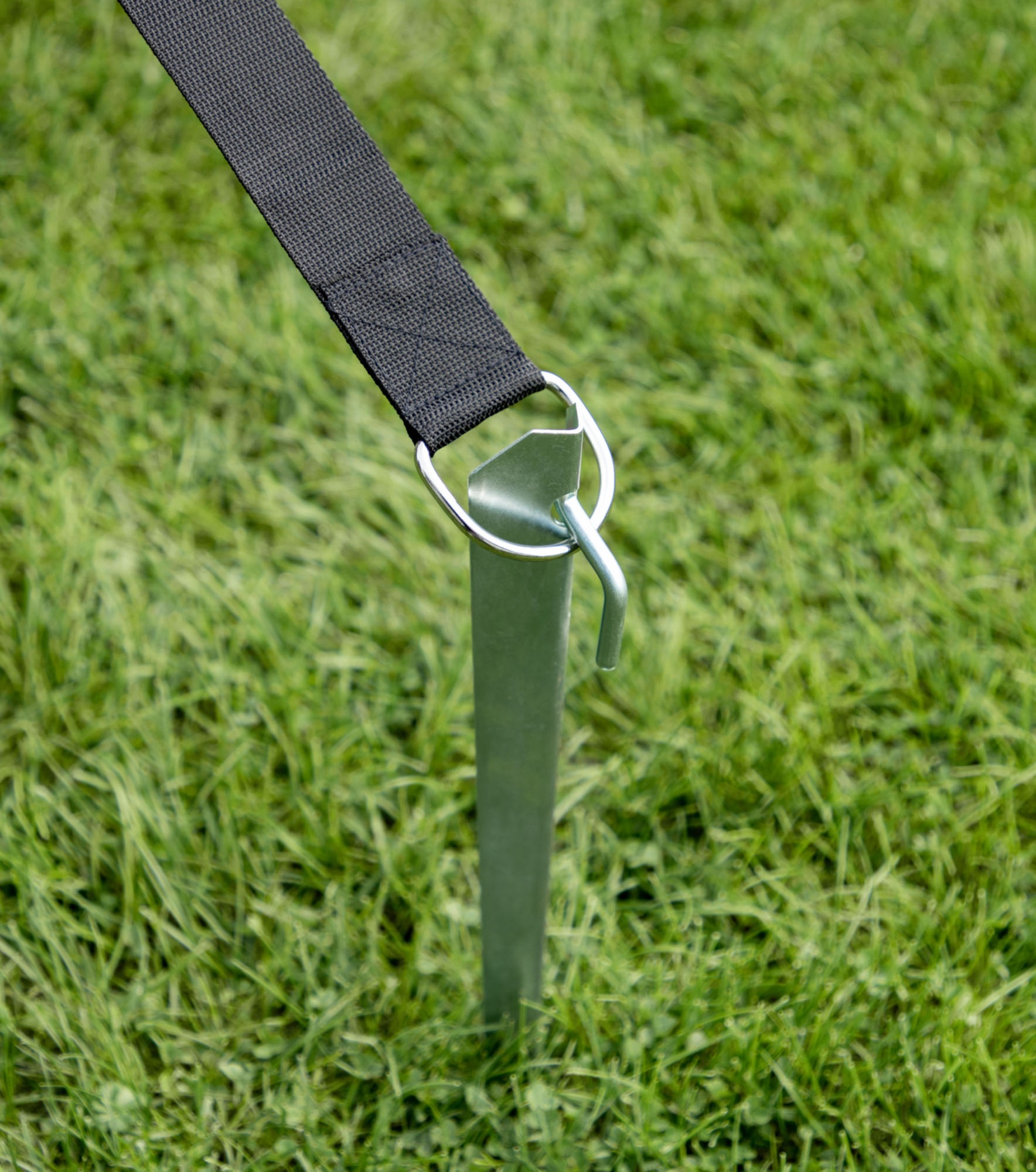 Cartrend Abspannleine