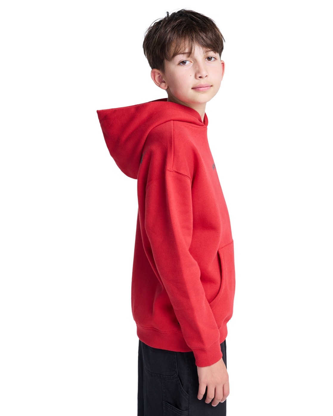 Element Kapuzensweatshirt »Lowcase Bp«