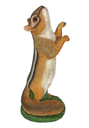 Casa Collection by Jänig Tierfigur »Großes Streifenhörnchen« kaufen