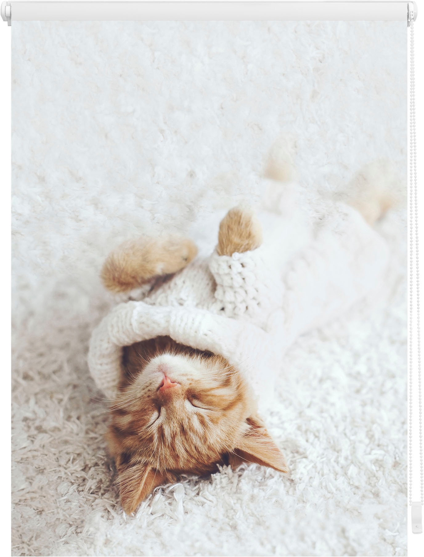 LICHTBLICK ORIGINAL Seitenzugrollo »Klemmfix Digital Sleepy Cat«, verdunkelnd, energiesparend, ohne Bohren, freihängend, bedruckt