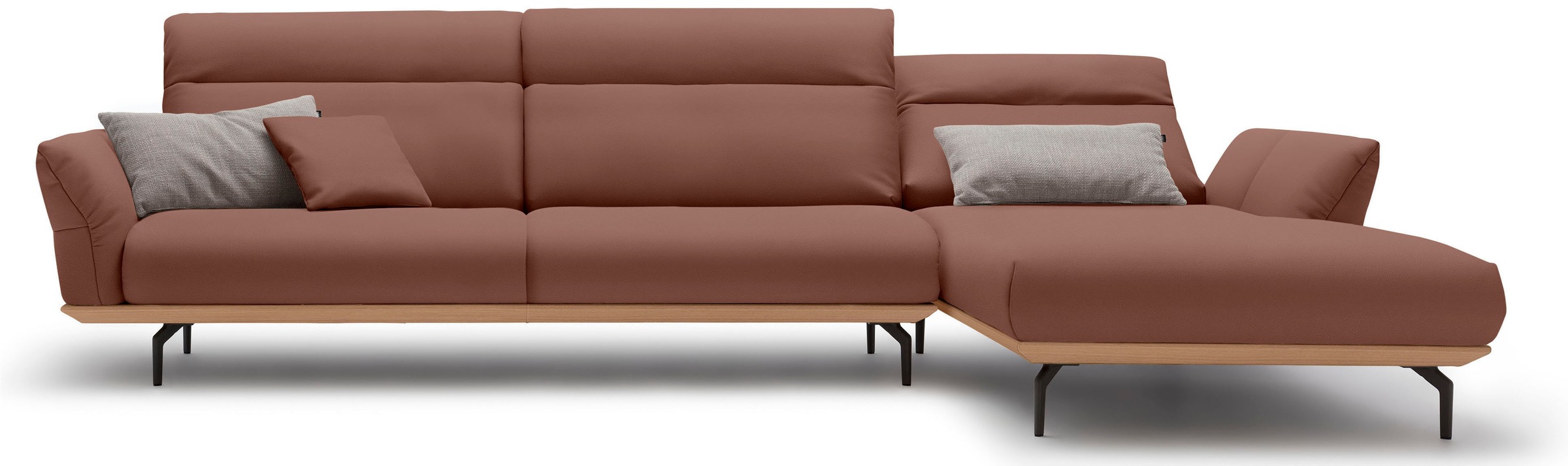 Creation BY ROLF BENZ Ecksofa »hs.460«, Sockel in Eiche, Winkelfüße in Umbragrau, Breite 338 cm