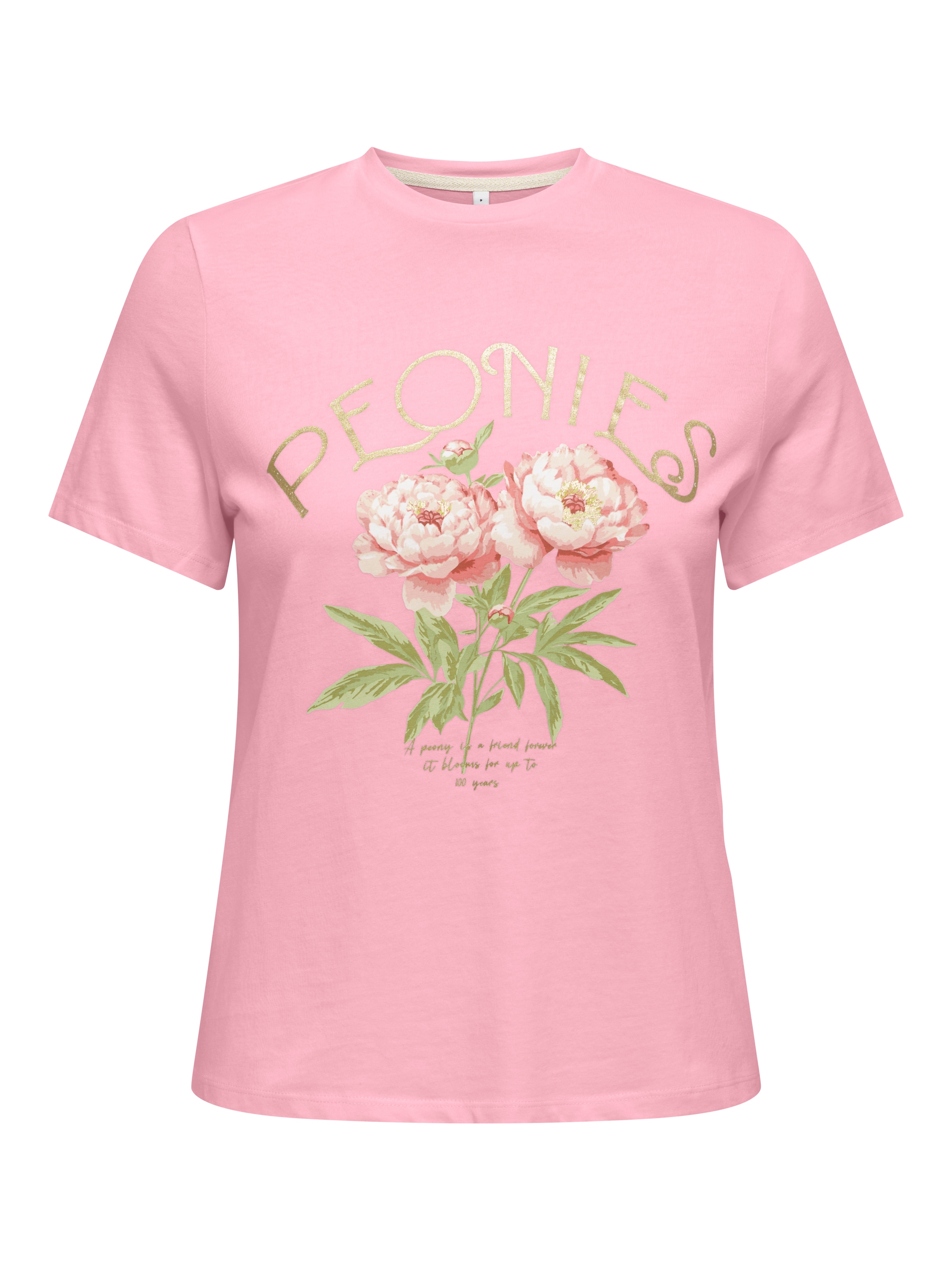 ONLY Kurzarmshirt »ONLAMBERDINE S/S PRINT TOP BOX JRS« Baumwolle, regular fit, Rundhals