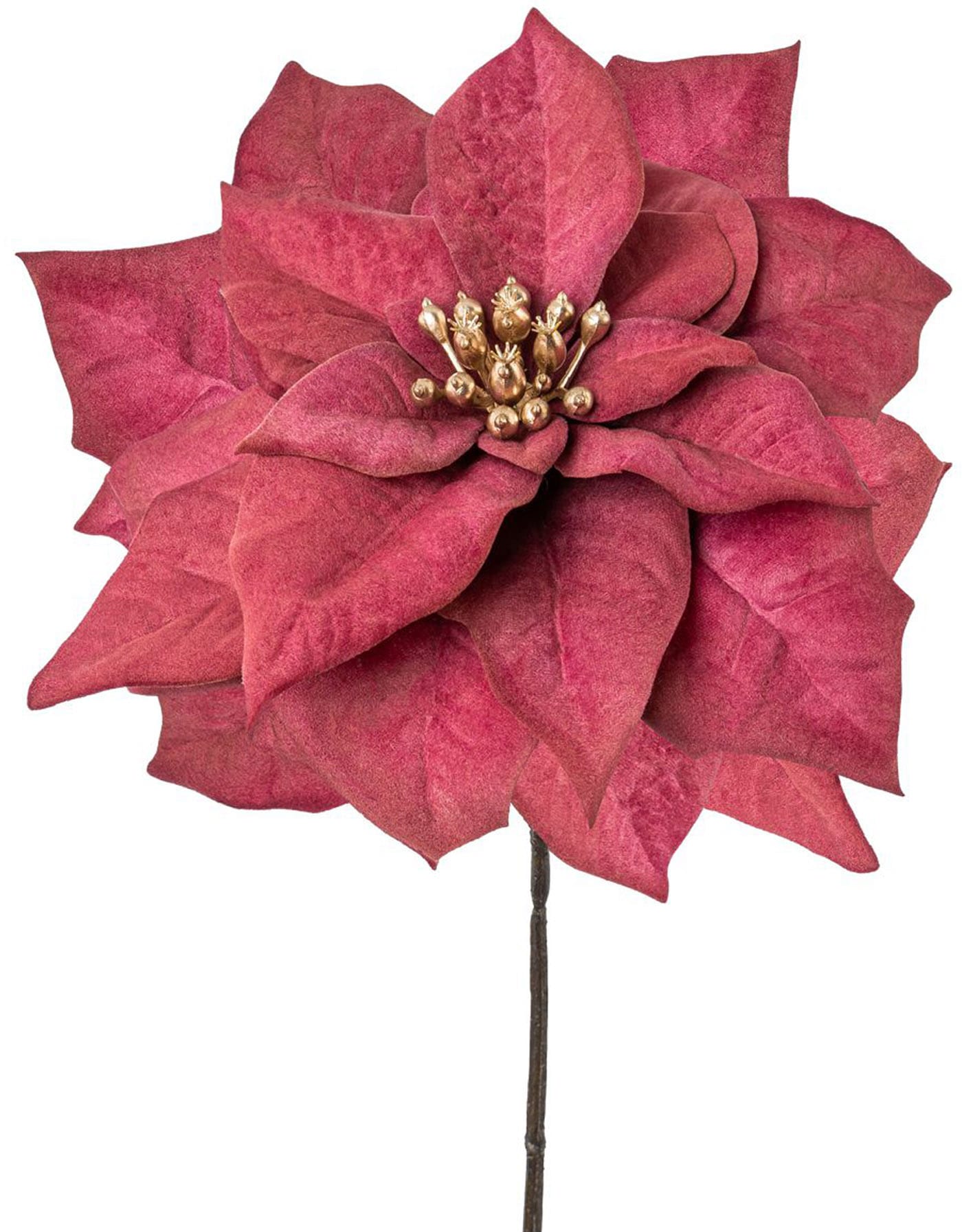 Creativ green Winterliche Kunstpflanze »Weihnachtsdeko rot«, mit goldfarbenfarbenem Blütenkelch, 6er-Set
