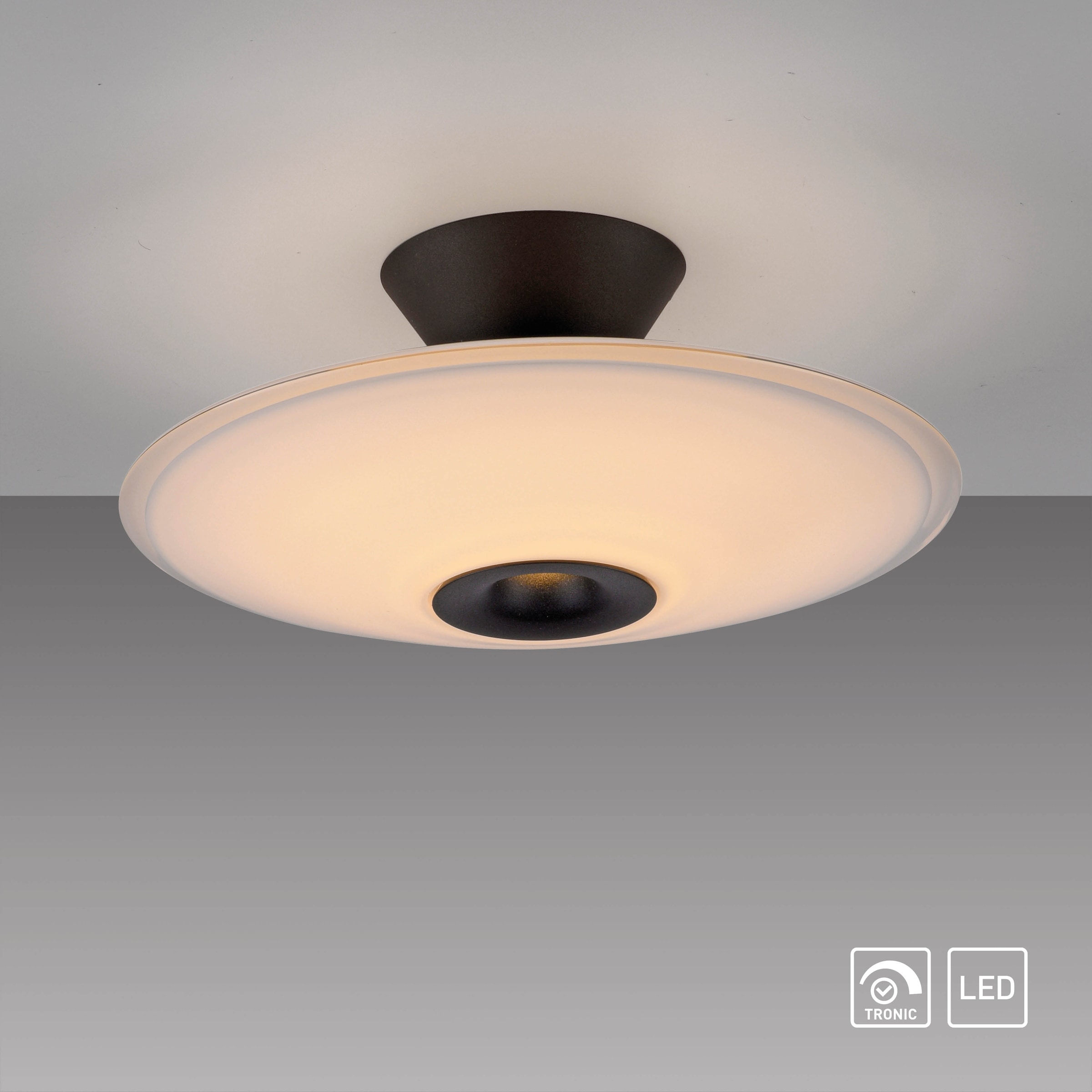 Paul Neuhaus LED Deckenleuchte »ELIPSA« LED-Board 1 Stk. Warmweiß Dimmfähig über separaten Tronicdimmer, Opalglas