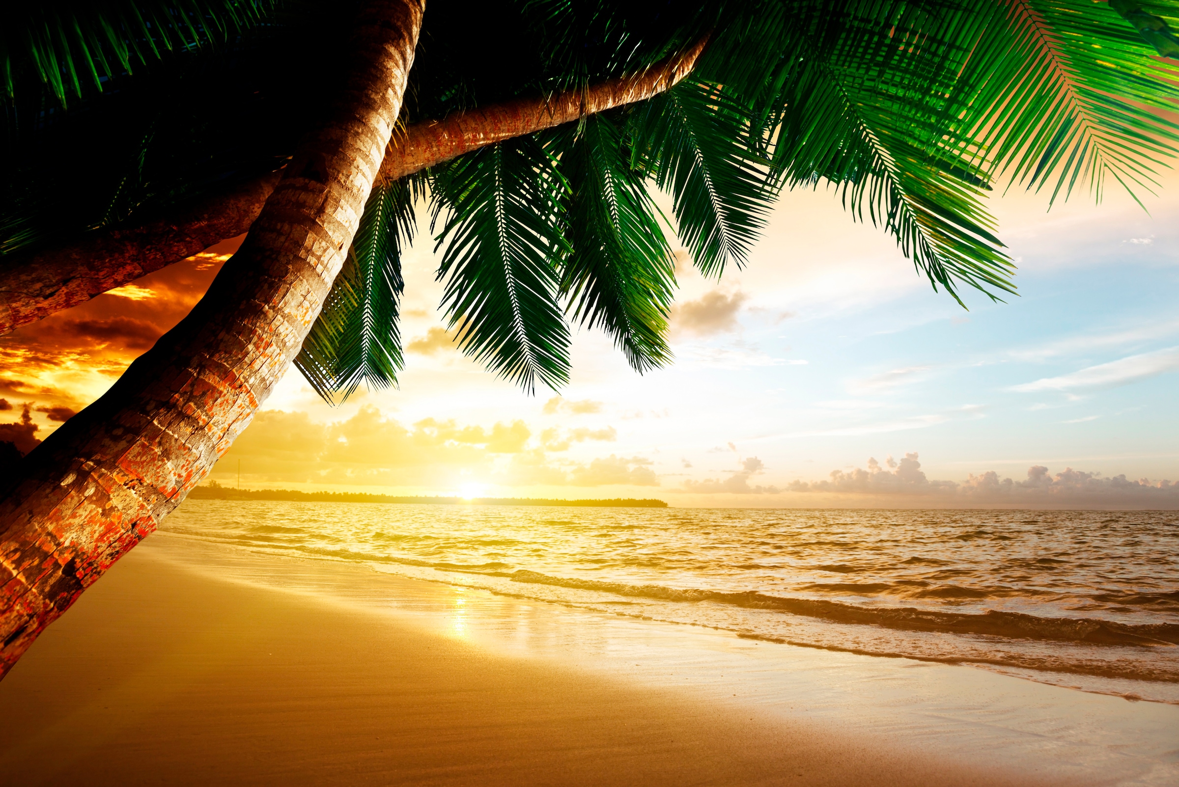Papermoon Fototapete »Caribbean Beach Sunrise«