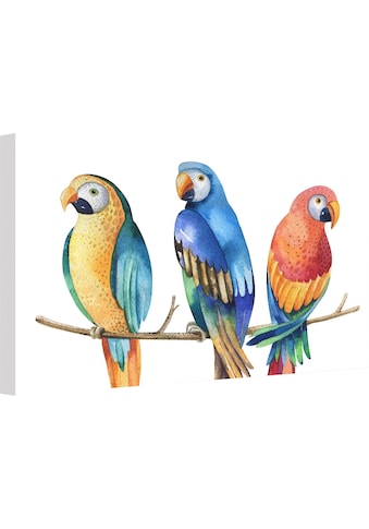 Wall-Art Leinwandbild »Kvilis - Bunte Papageien« kaufen