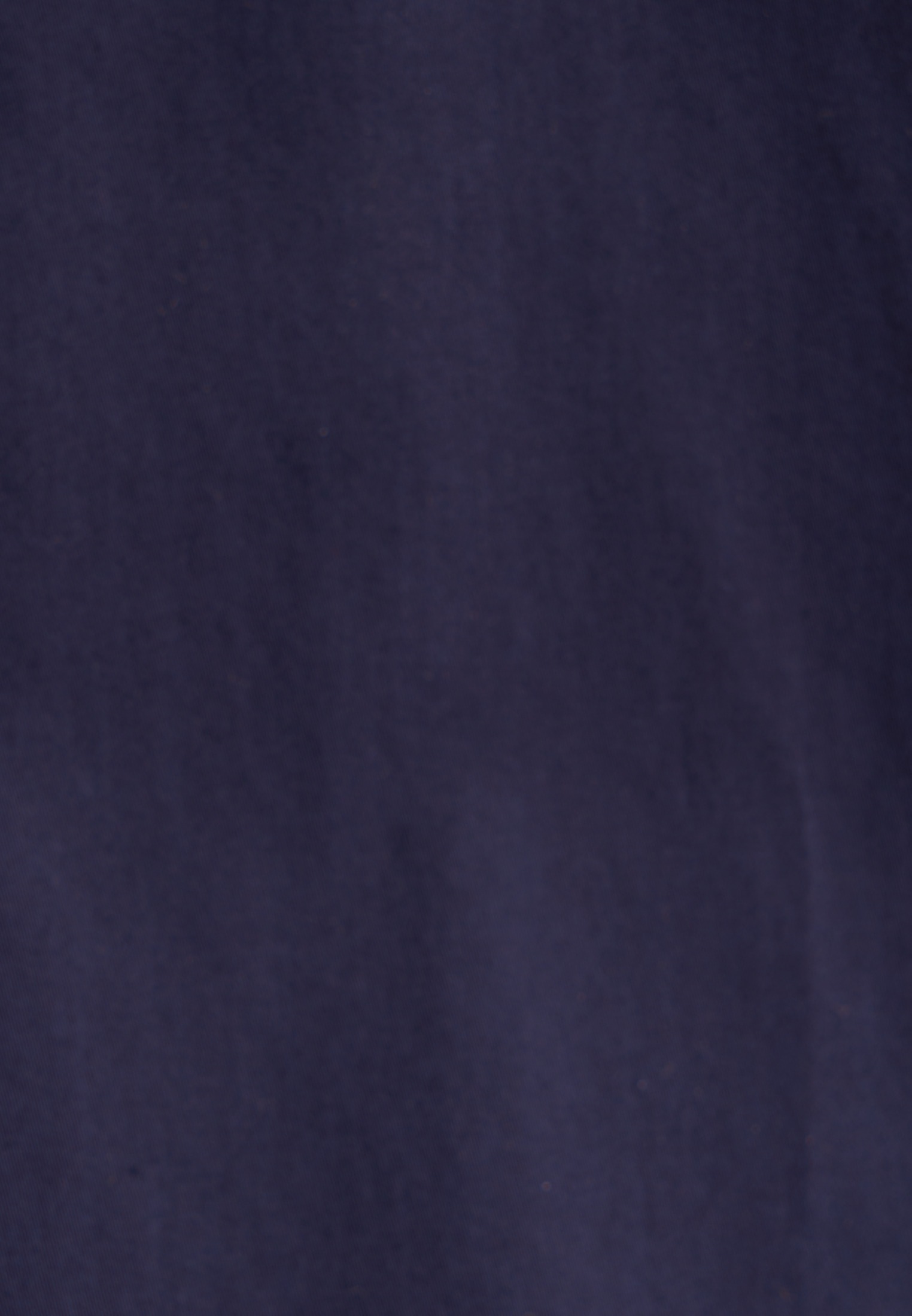 seidensticker Hemdbluse »Schwarze Rose«, Langarm Kragen Uni