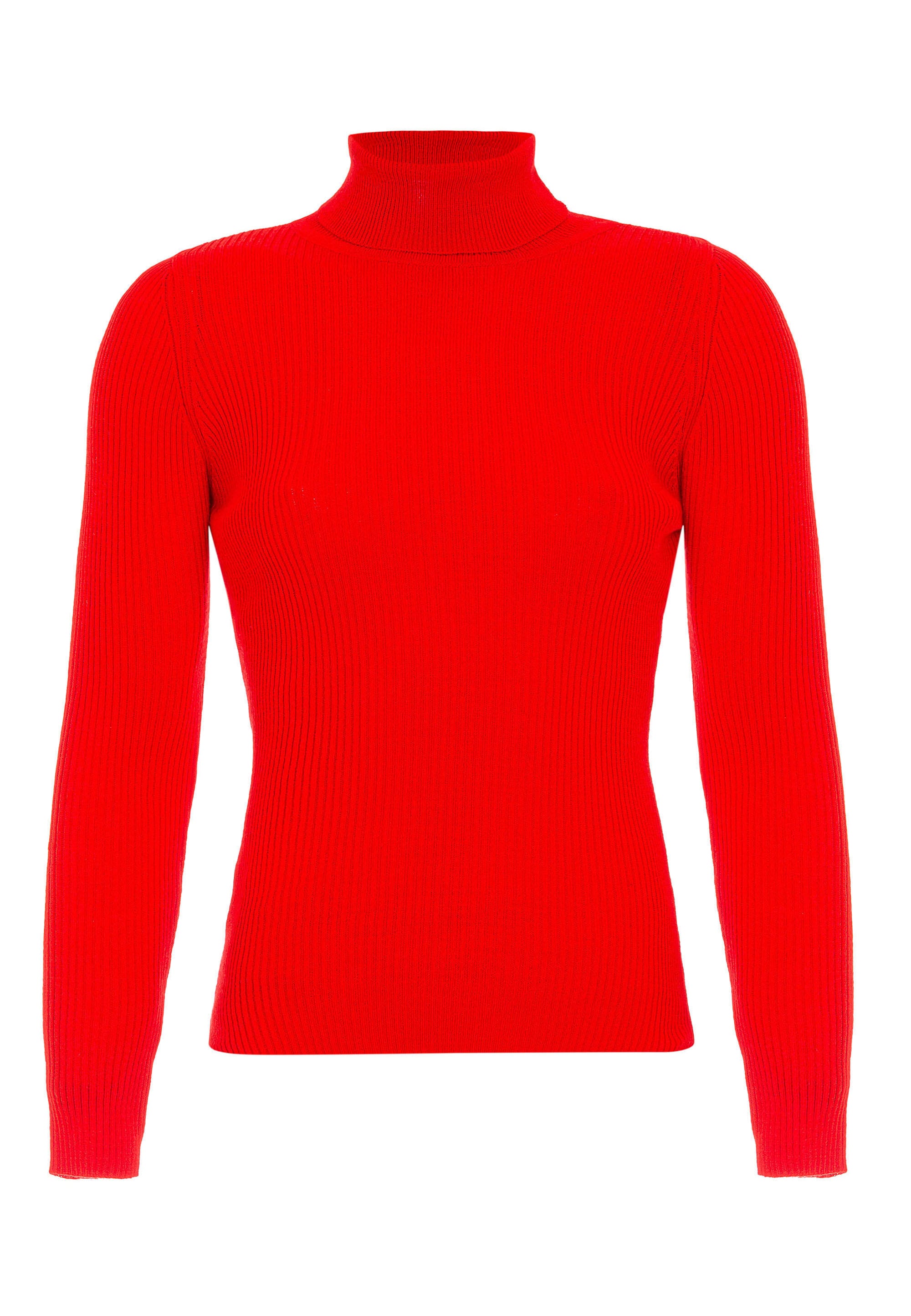 Cipo & Baxx Rollkragenpullover »WP227« Mit Rollkragen