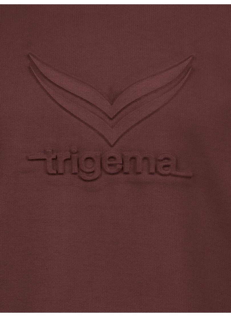 Trigema Kapuzensweatshirt »TRIGEMA Kapuzenpullover mit großem 3D-Motiv«