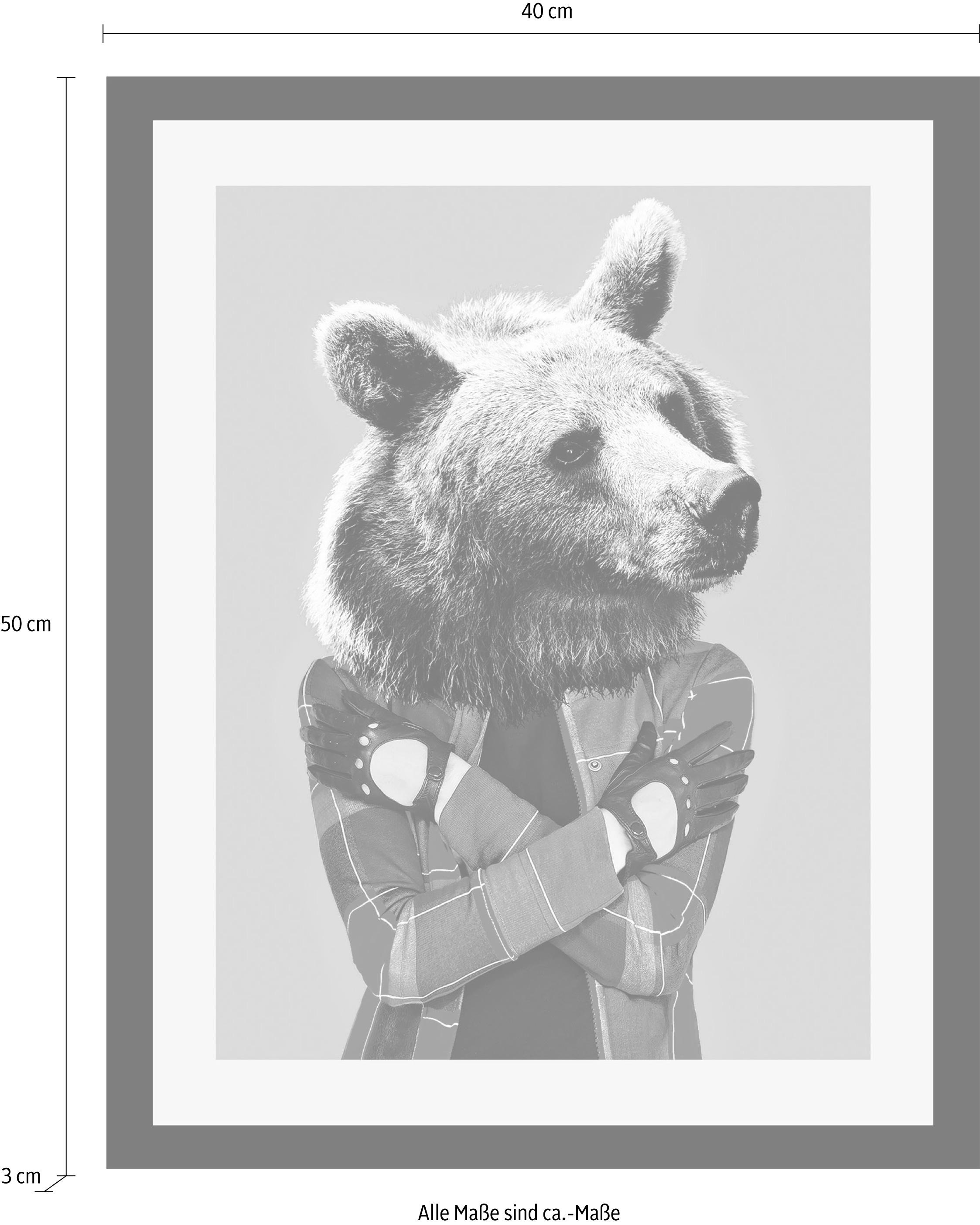 queence Bild »Bär« Art | Bär | Foto | Humor | Kunst | Tiere HD Premium Poster-Druck inkl. Holzrahmen