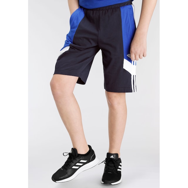 adidas Sportswear Shorts »COLORBLOCK 3-STREIFEN REGULAR FIT«, (1 tlg.)  kaufen bei OTTO