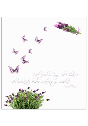 Küchenrückwand »Lila Schmetterlinge an Lavendel«, (1 tlg.)