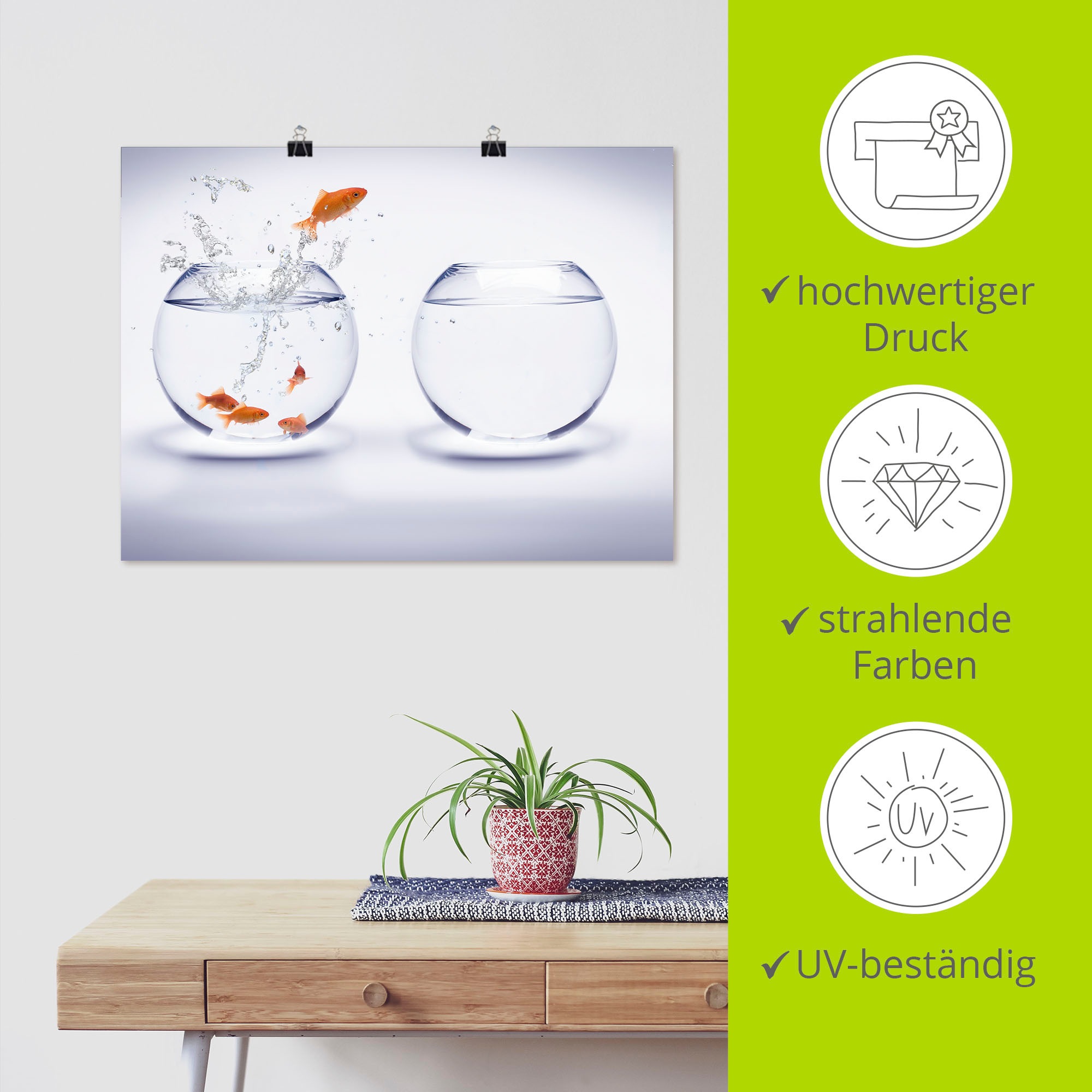 Artland Poster »Goldfischaquarium« Wassertiere 1 Stk. tlg. ohne Rahmen