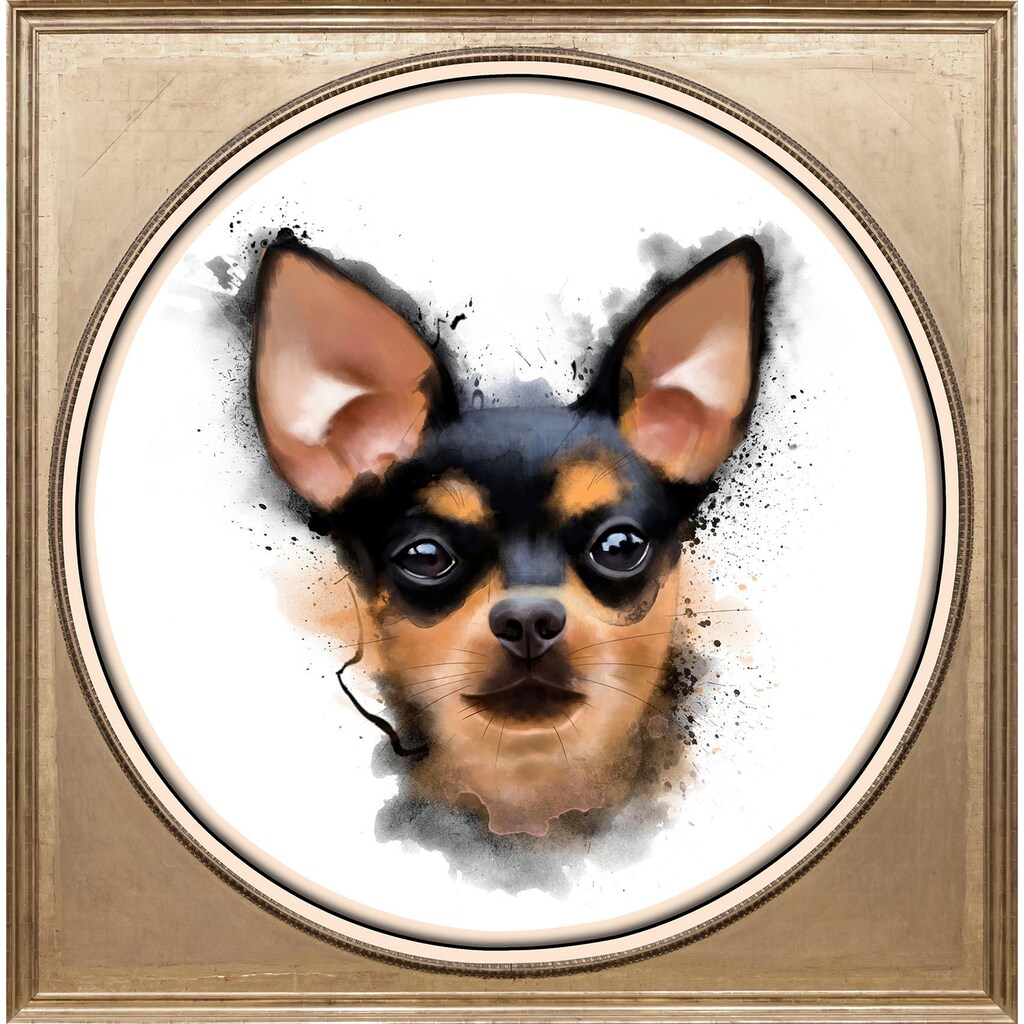 queence Acrylglasbild »Chihuahua«