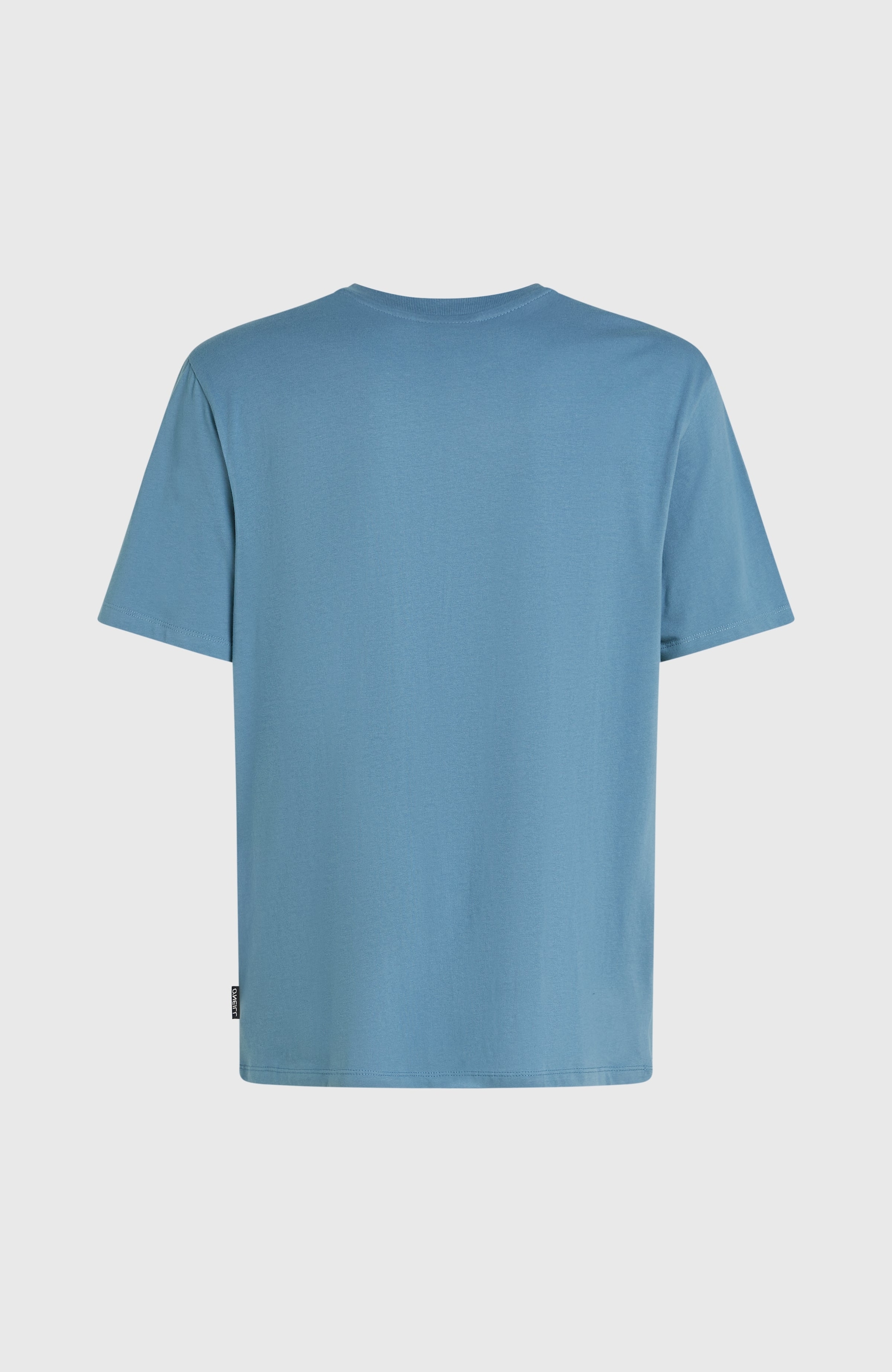 O'Neill T-Shirt »O'NEILL CHEST PRINT T-SHIRT«, (1 tlg.)