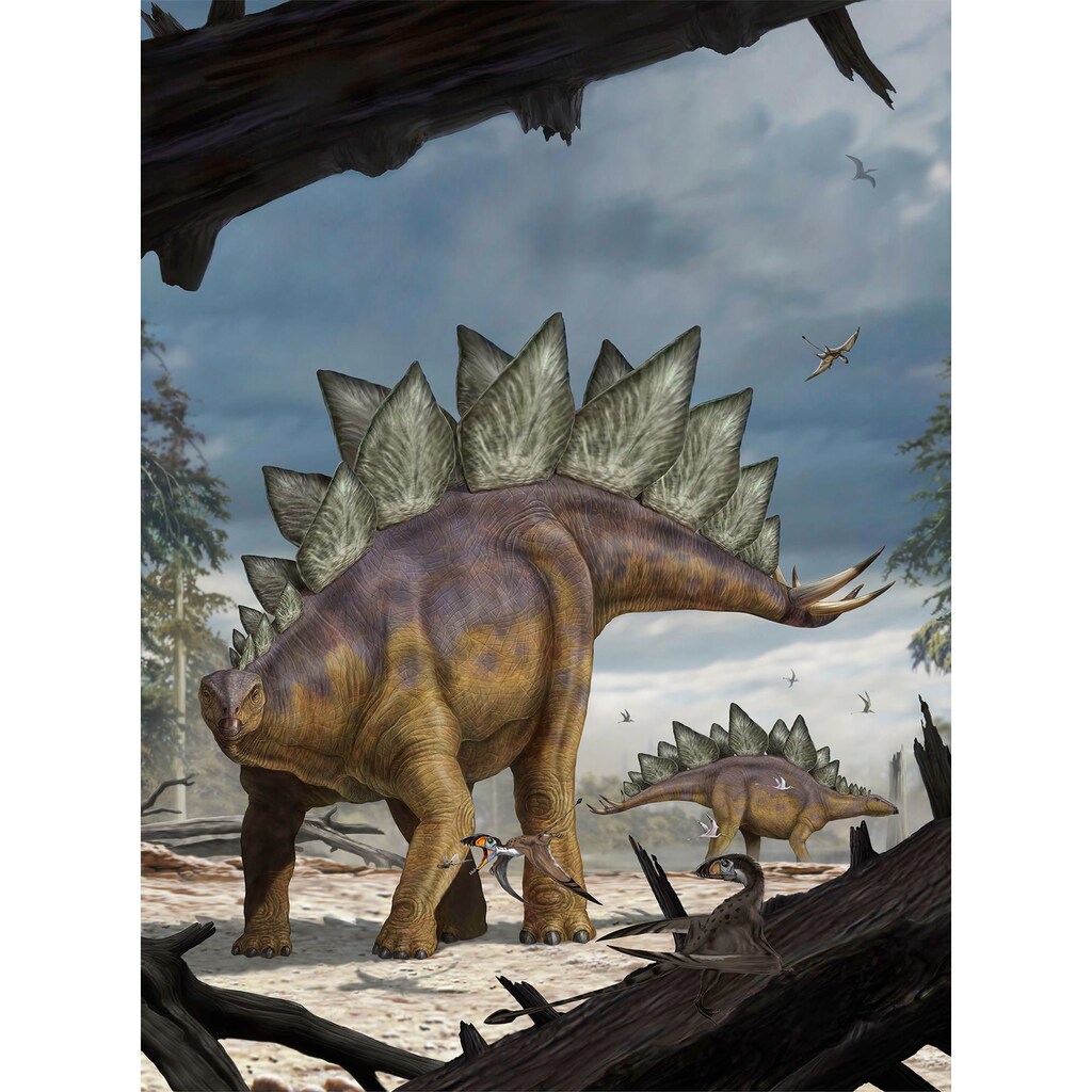 Komar Fototapete »Stegosaurus«, bedruckt-Comic-Retro-mehrfarbig