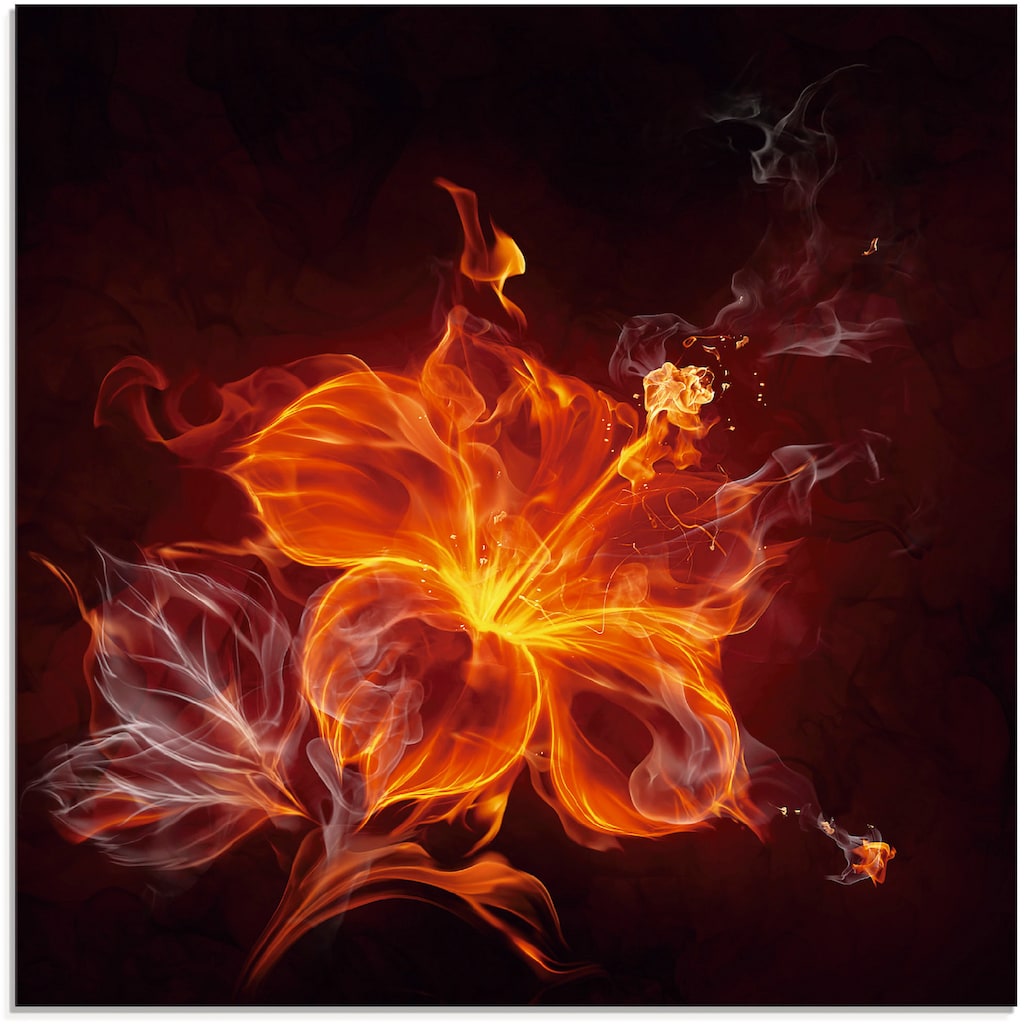 Artland Glasbild »Feuerblume«, Blumen, (1 St.)