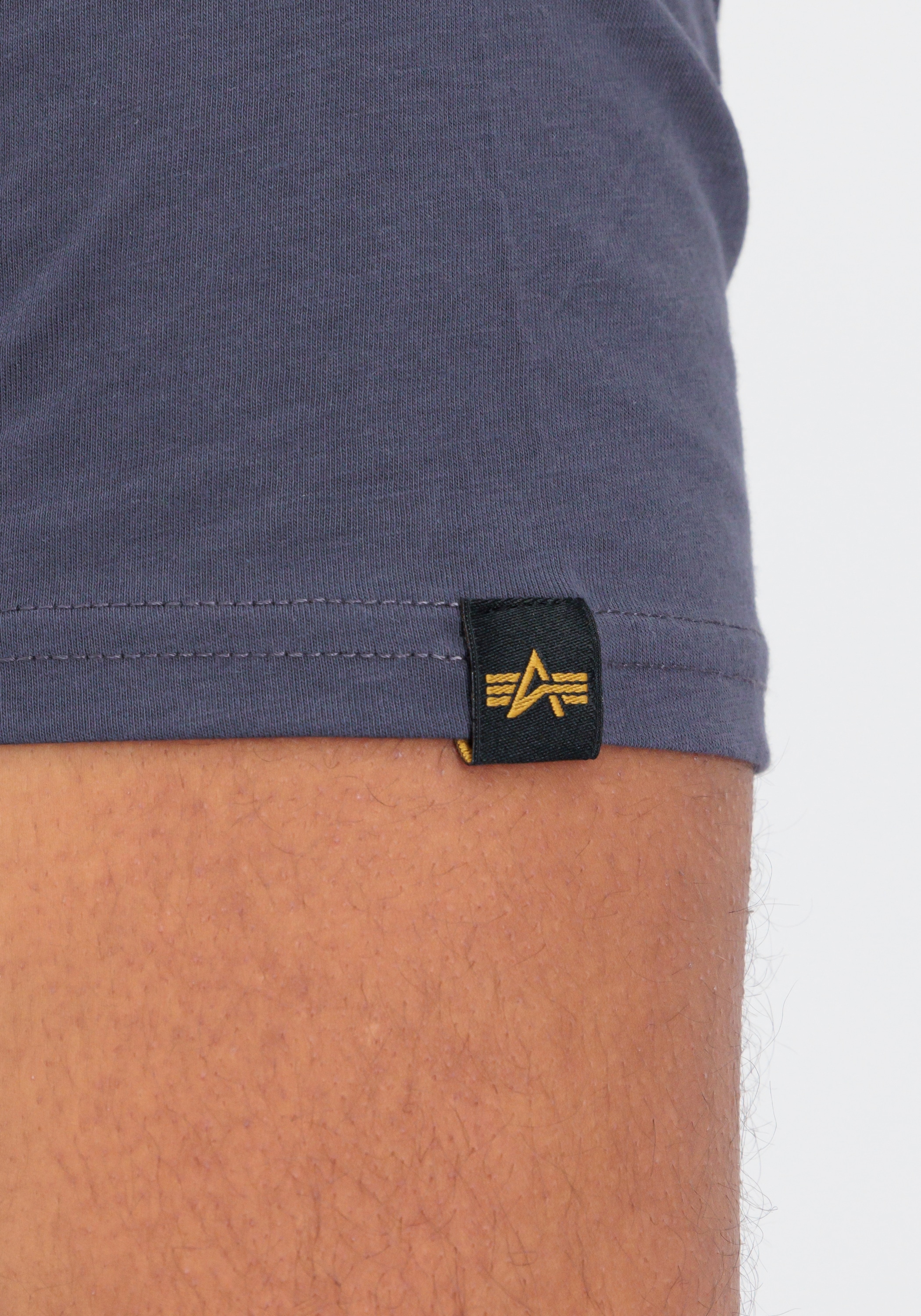 Alpha Industries T-Shirt »Rainbow Reflective Label T-Shirt«