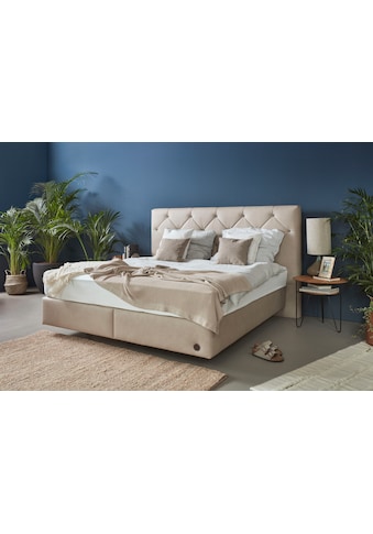 Boxspringbett »Stalon Box«