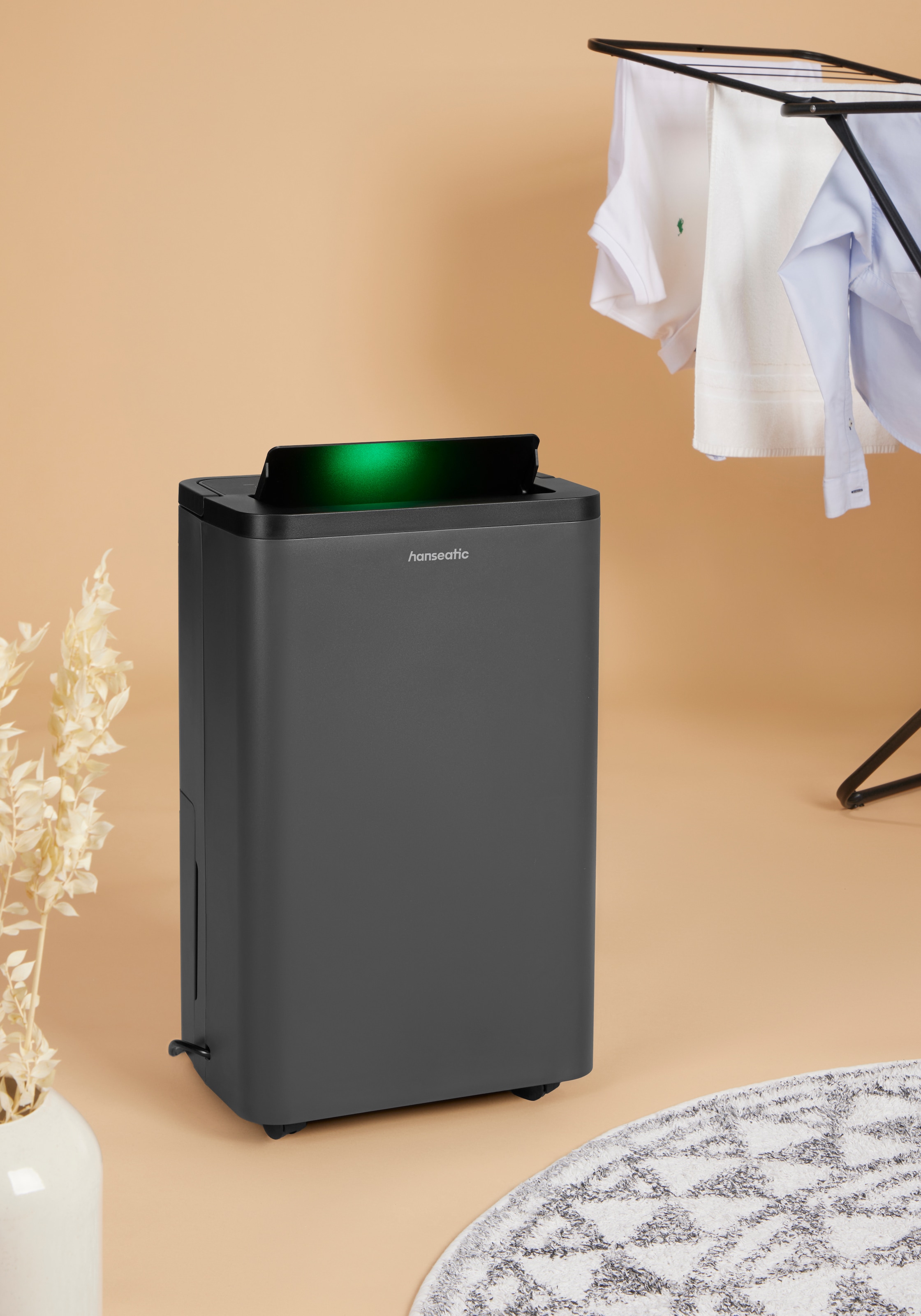 Hanseatic Luftentfeuchter »Hanseatic 8L« Entfeuchtung 8 l/Tag Tank 2 für Räume bis 16m², 2L Wassertank