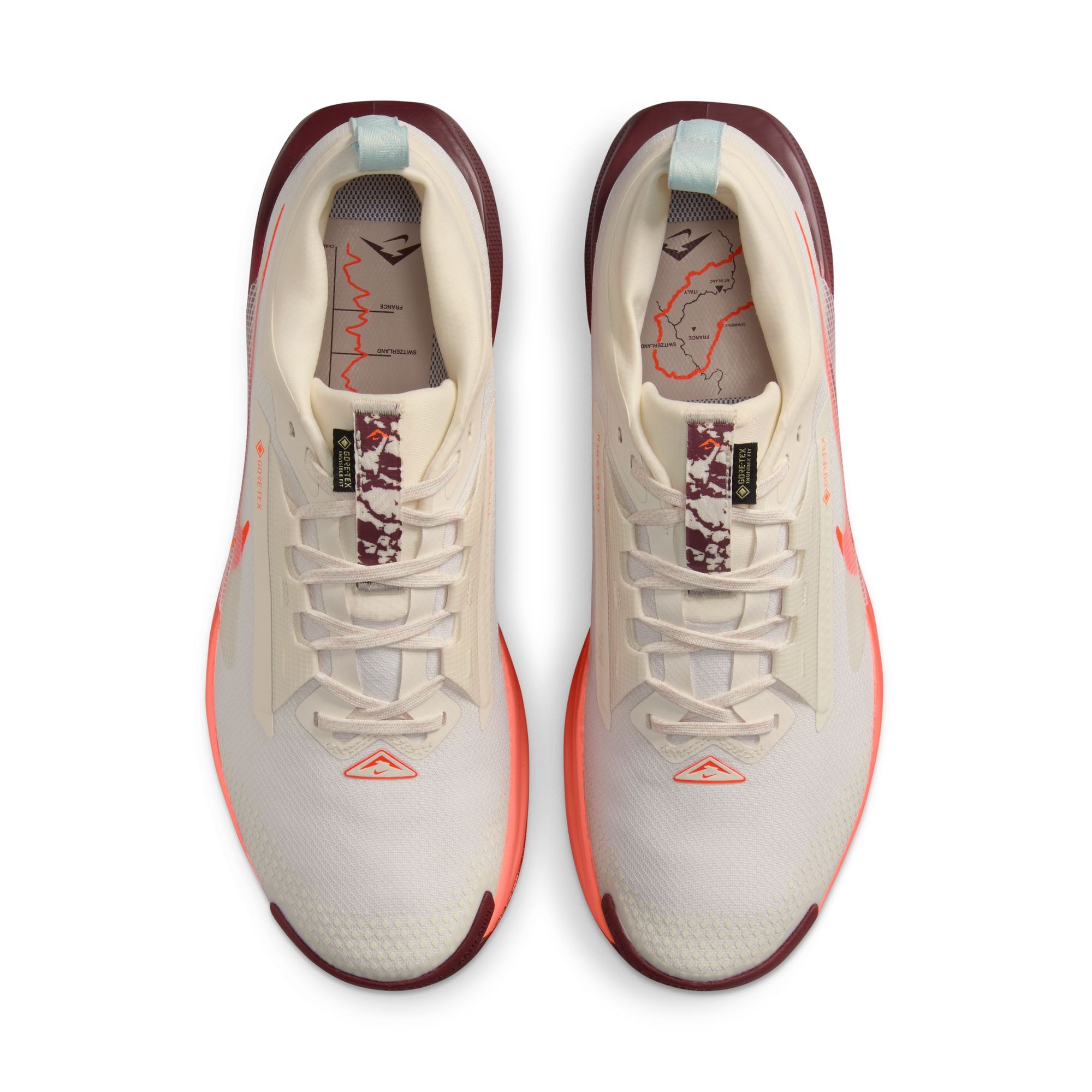 Nike Laufschuh »PEGASUS TRAIL 5 GTX«  wasserdicht