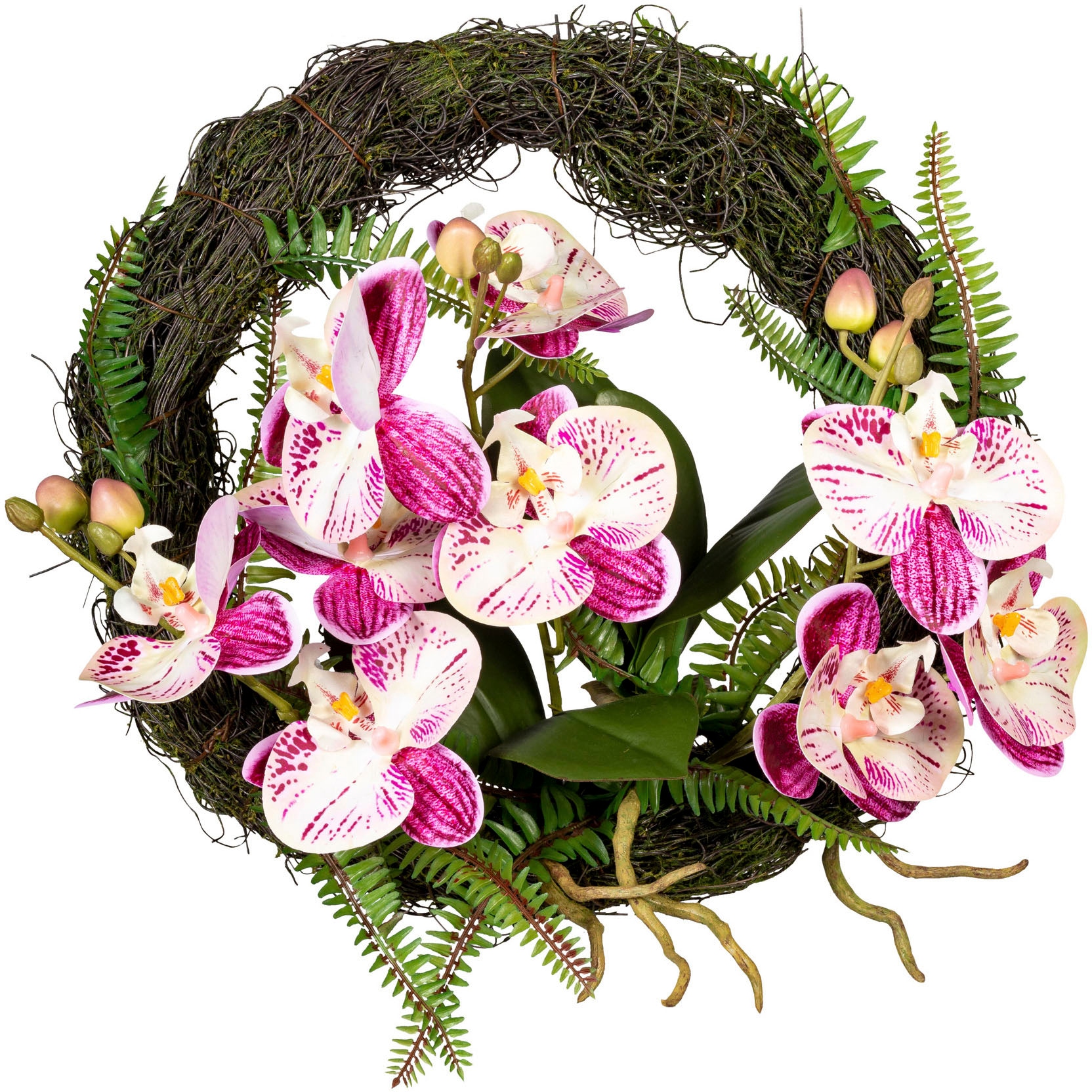 green bestellen Orchidee Shop Creativ im Kunstkranz Phalaenopsis« Online »Wandkranz OTTO