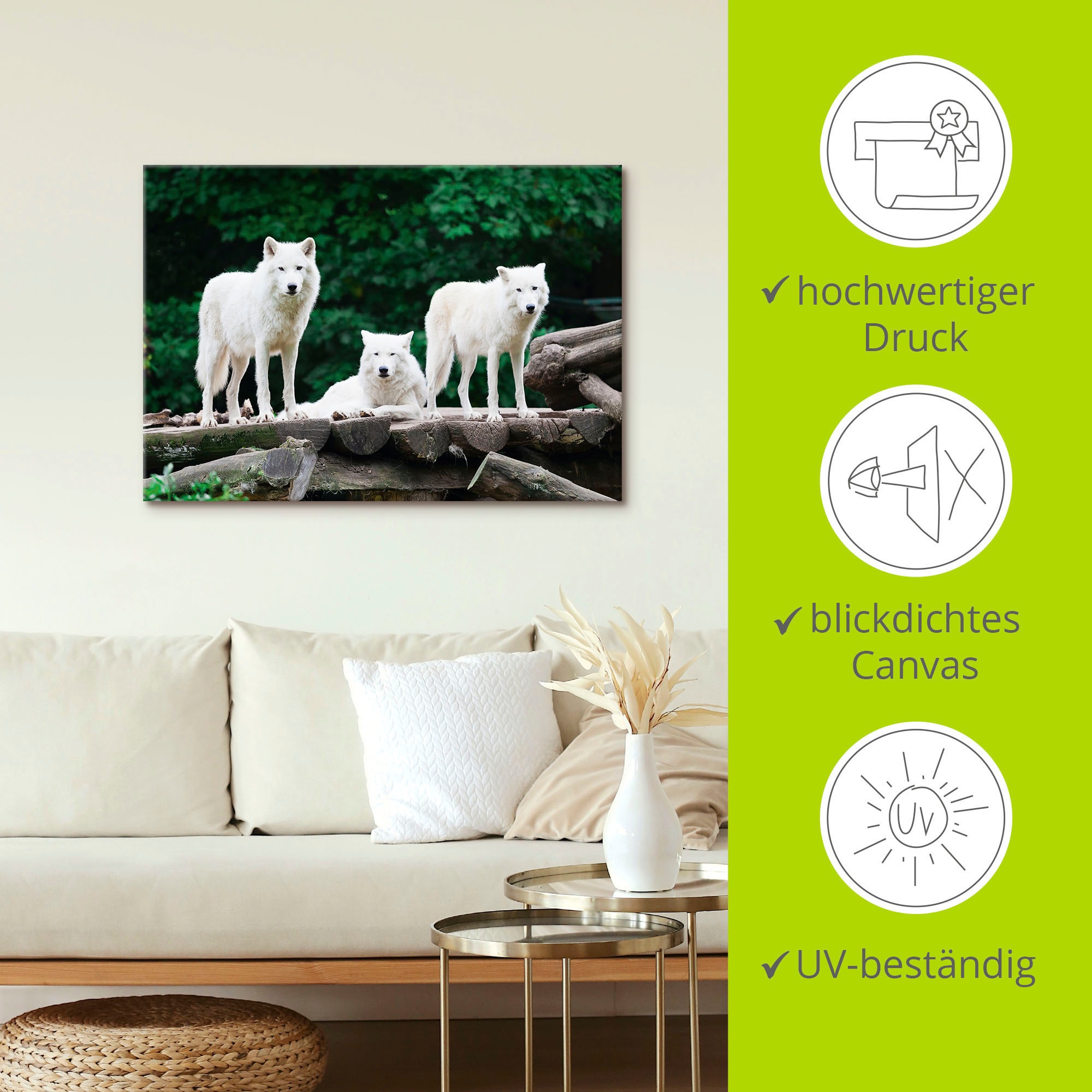 Artland Wandbild »Arktische Wölfe«, Wildtiere, (1 St.), als Leinwandbild, Poster in verschied. Größen