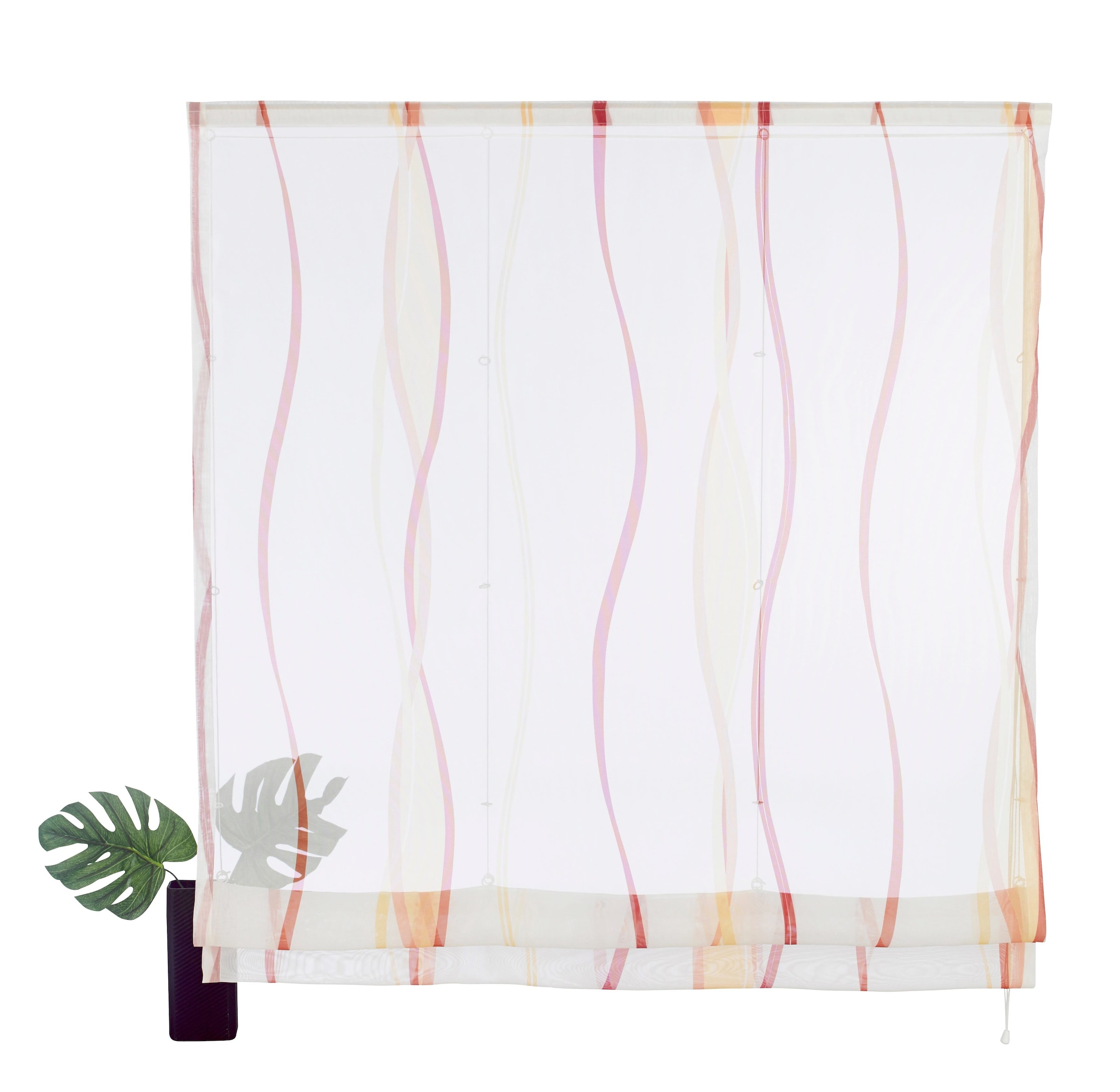 Polyester bei Transparent, my Raffrollo Voile, OTTO Klettschiene, home mit »Dimona«,