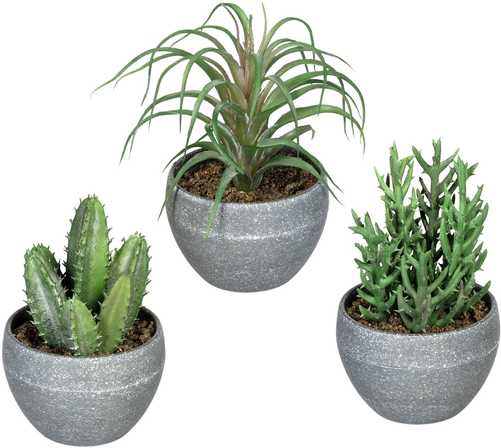 Botanic-Haus Künstliche Zimmerpflanze »Efeu-Hängebusch mit 10 Stielen«, (1  St.) bestellen im OTTO Online Shop
