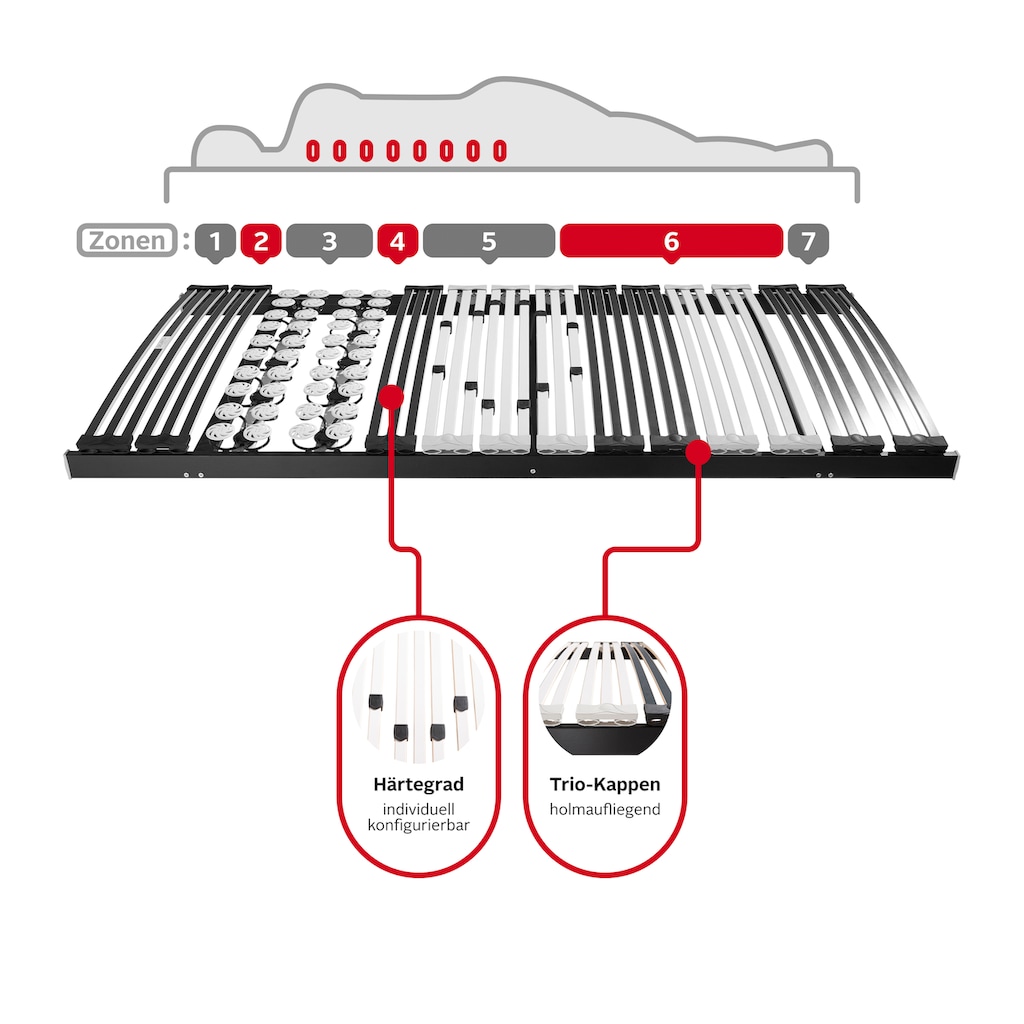 DELAVITA Teiltellerlattenrost »Lattenrost Müritz, 90x200, 140x200 cm und weiteren Größen«, Lattenrost für alle Matratzen, langlebig, ergonomisch, 7-Zonen