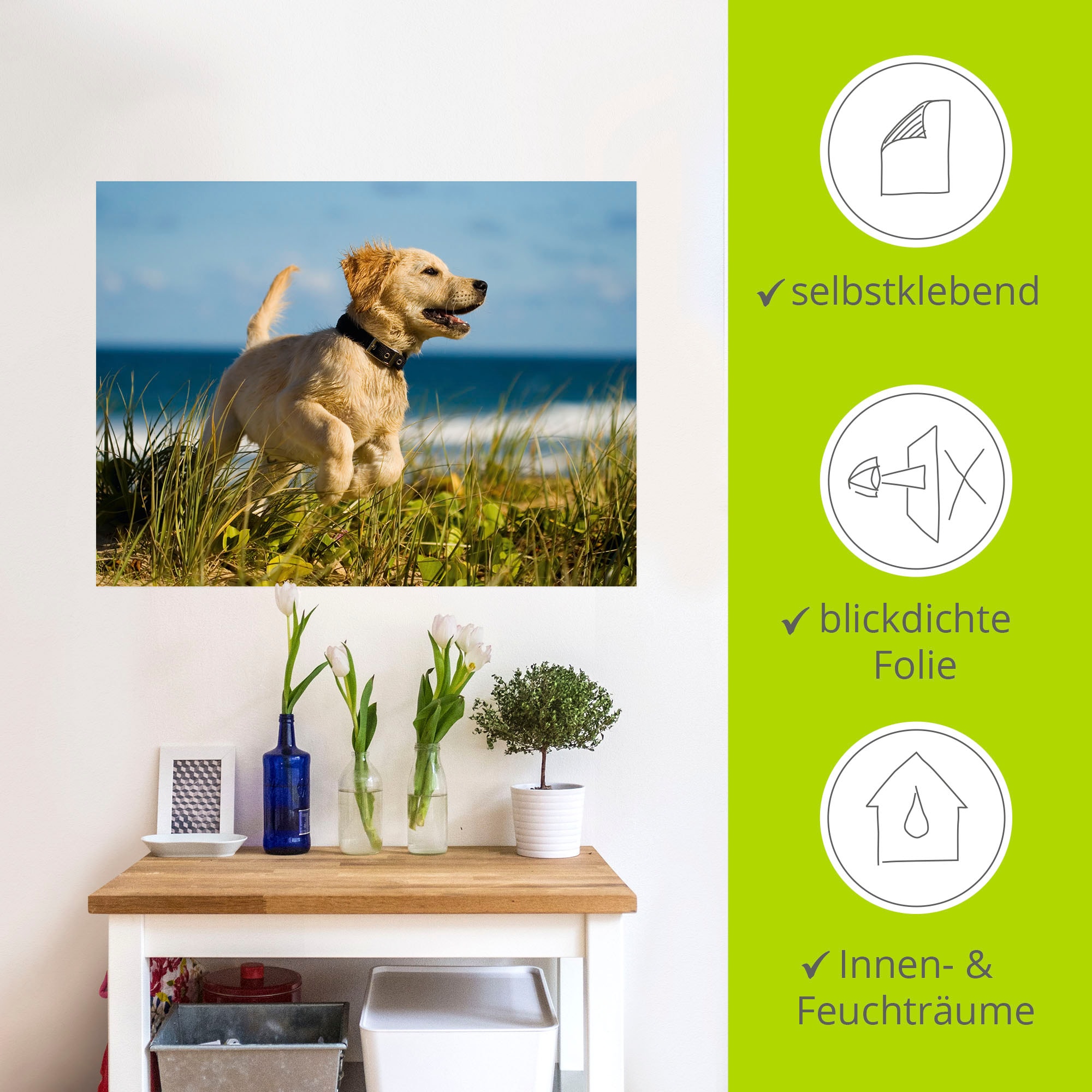 Artland Wandfolie »Hundebaby springt am Strand«, Haustiere, (1 St.), selbstklebend