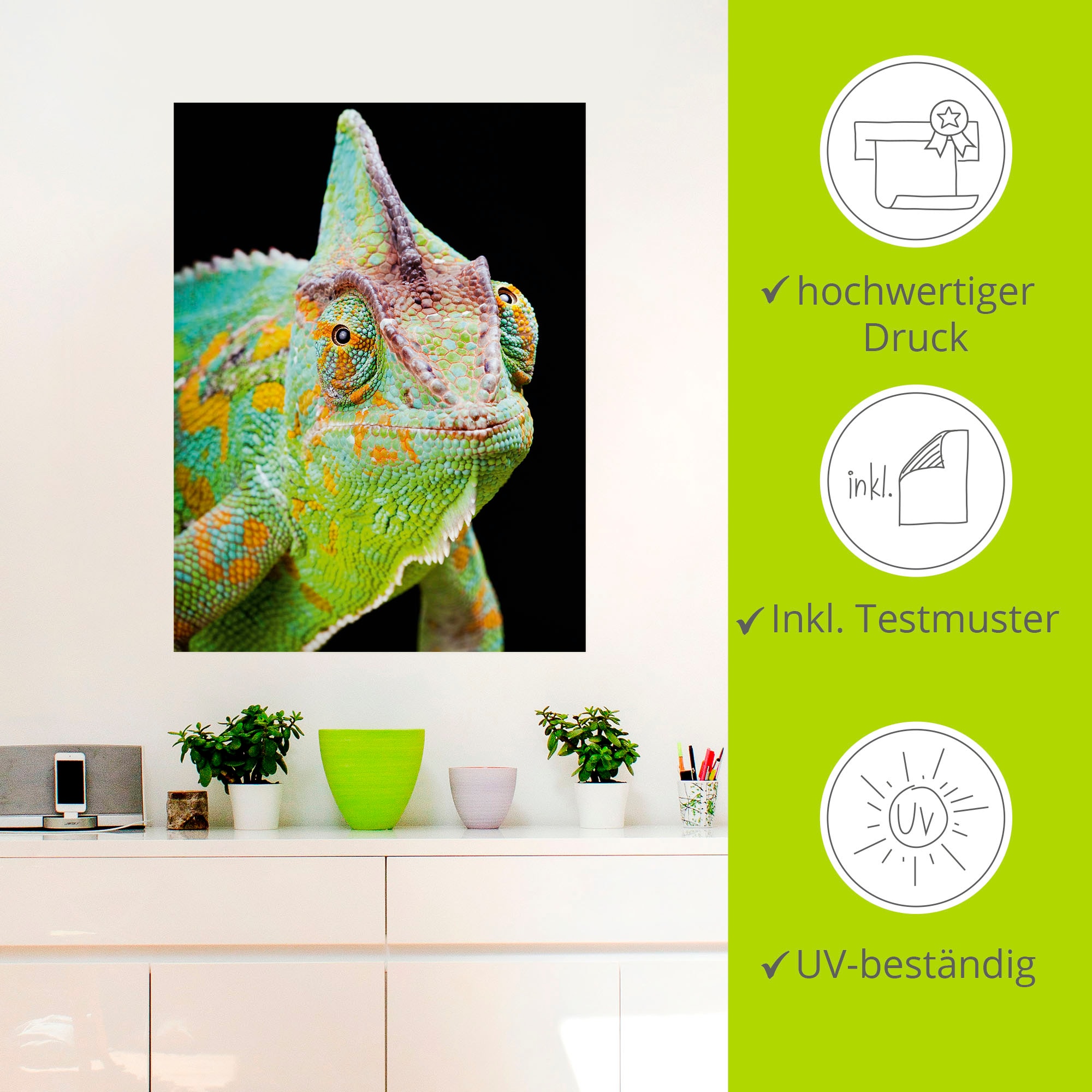 Artland Wandbild »Yemen Chamäleon«, Reptilien, (1 St.), als Alubild, Outdoorbild, Poster, Wandaufkleber in verschied. Größen