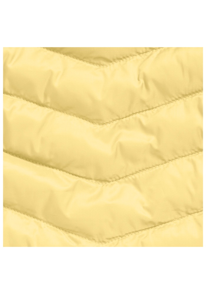 Jack Wolfskin Funktionsjacke »ROUTEBURN PRO INS JKT W«, mit Kapuze