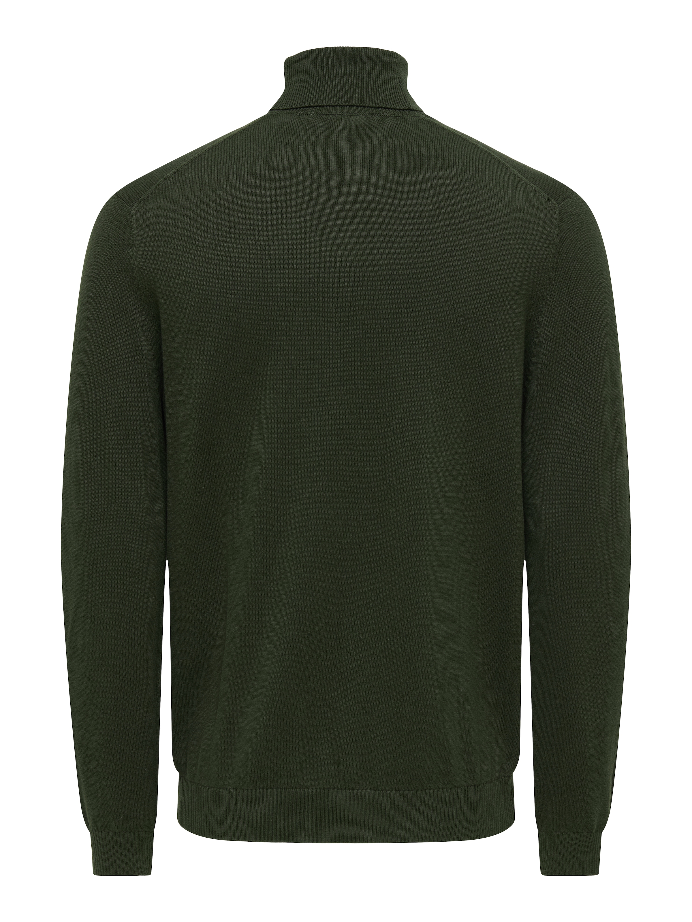 ONLY & SONS Rollkragenpullover »ONSHOLGER REG ROLL NECK KNIT - OTL«