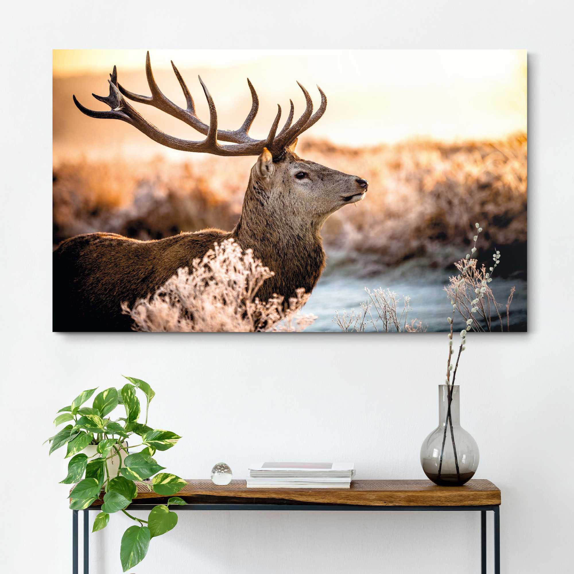 Reinders! Deco-Panel »Hirsch im Wald«, 118/70 cm online bei OTTO | Poster