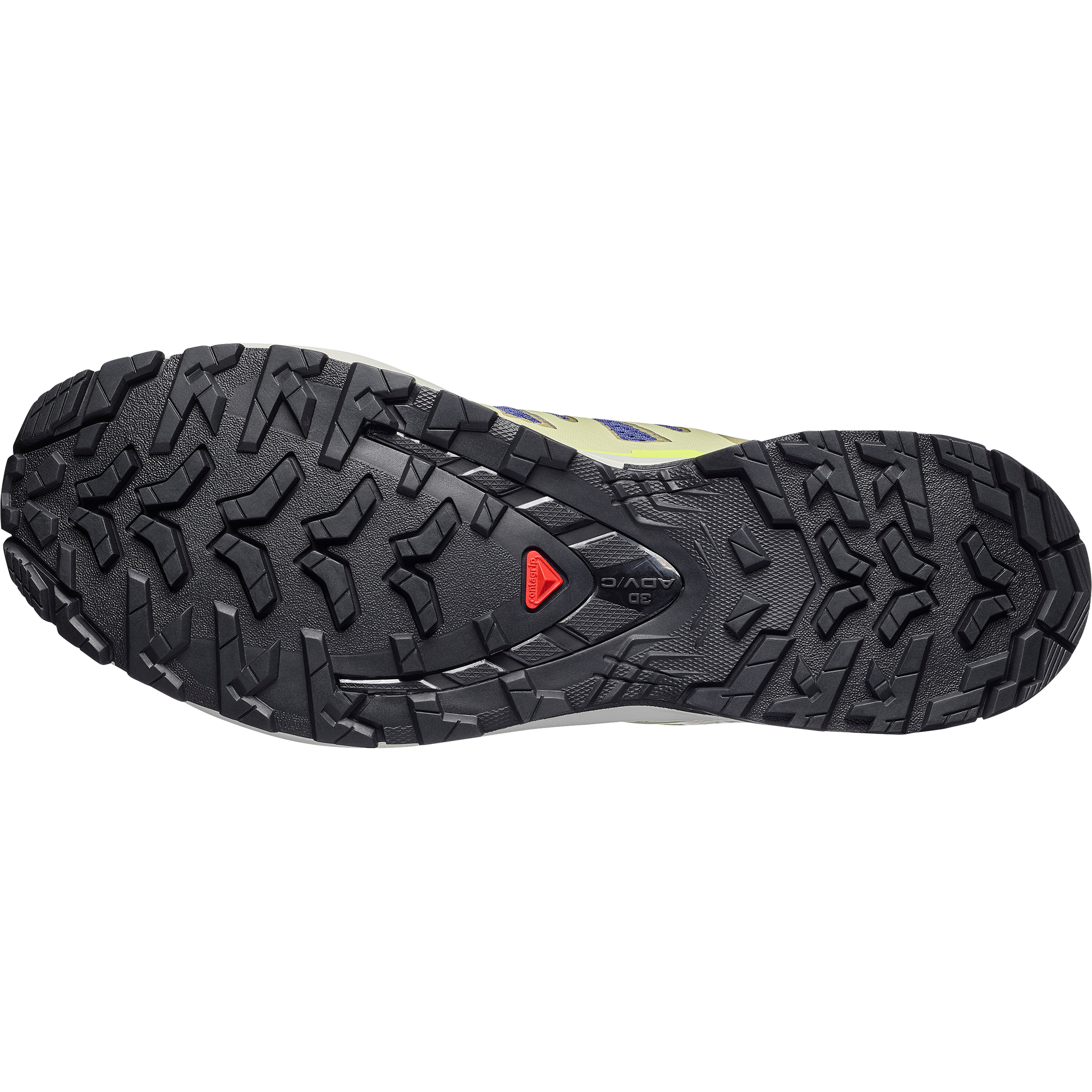 Salomon Trailrunningschuh »XA PRO 3D V9«