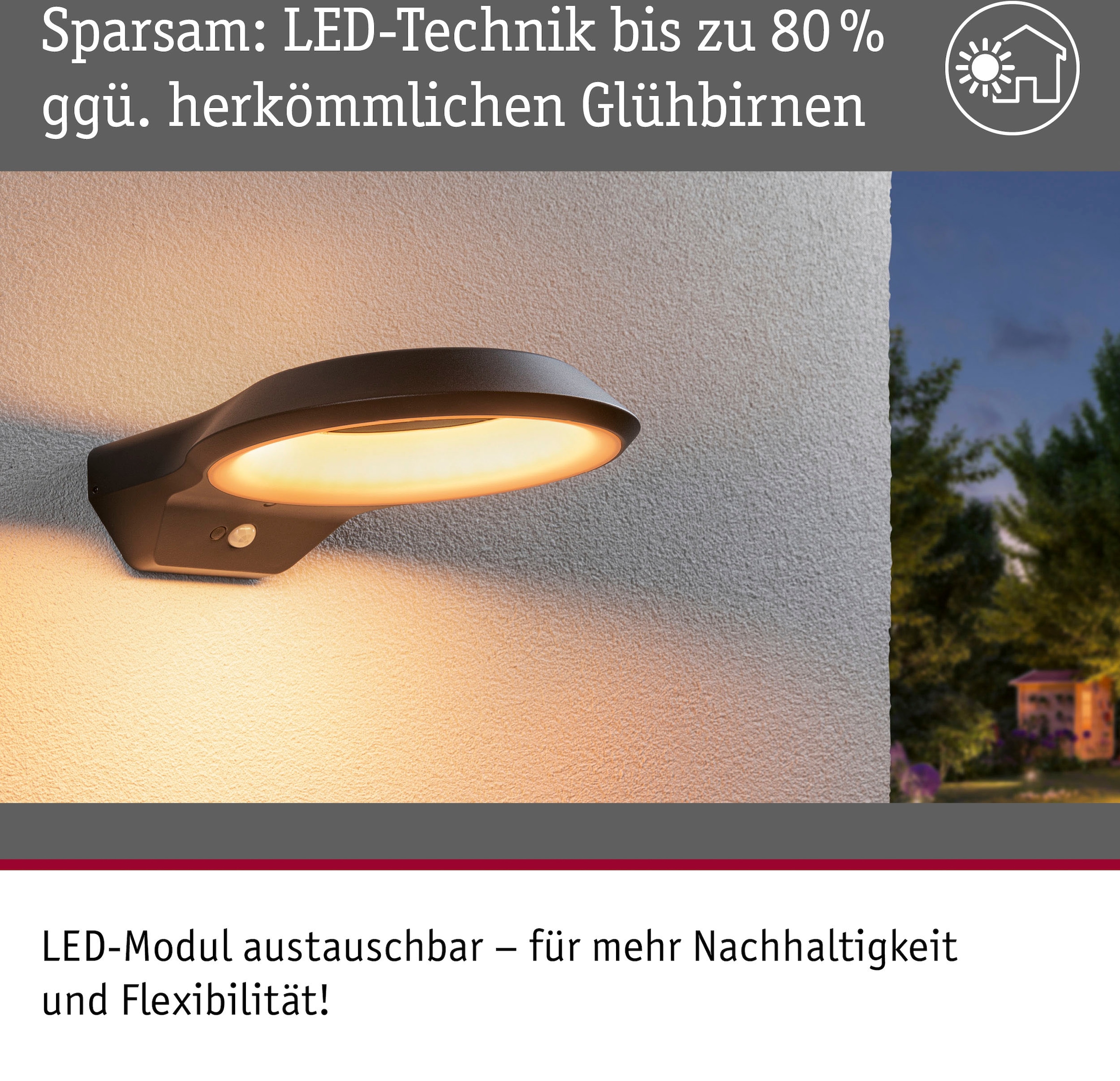 Paulmann LED Außen-Wandleuchte »Anela 230V«, 1 flammig, insektenfreundlich