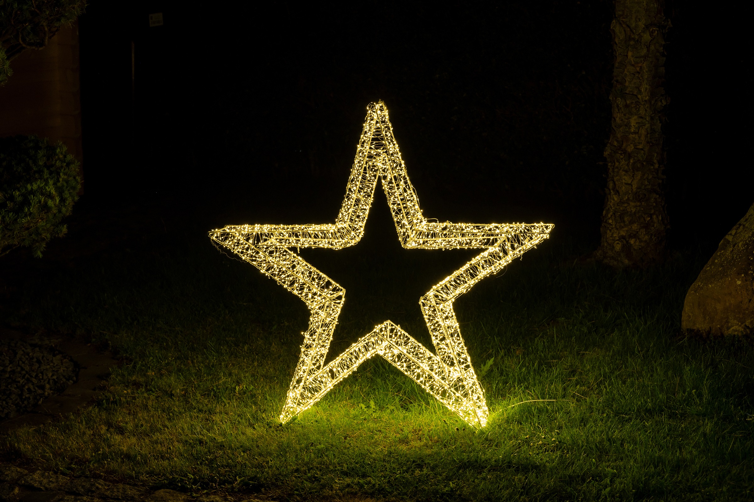 LED aussen«, »Weihnachtsstern, Weihnachtsdeko LED flammig-flammig, bei Stern stromsparende 960 Star-Max OTTO