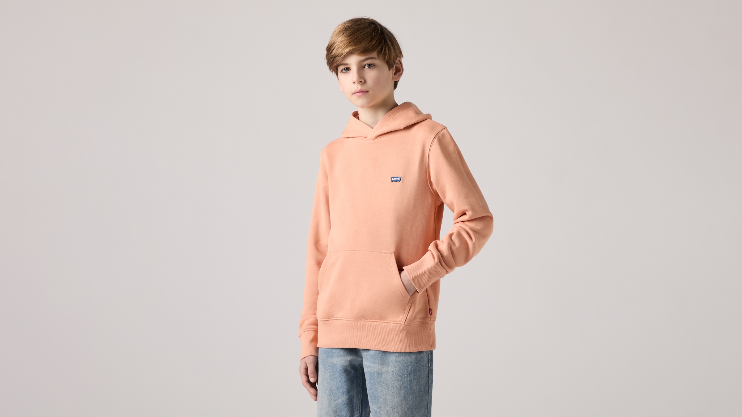 Levi's® Kids Hoodie »LVB MINI BATWING PULL OVER HOO«, for BOYS
