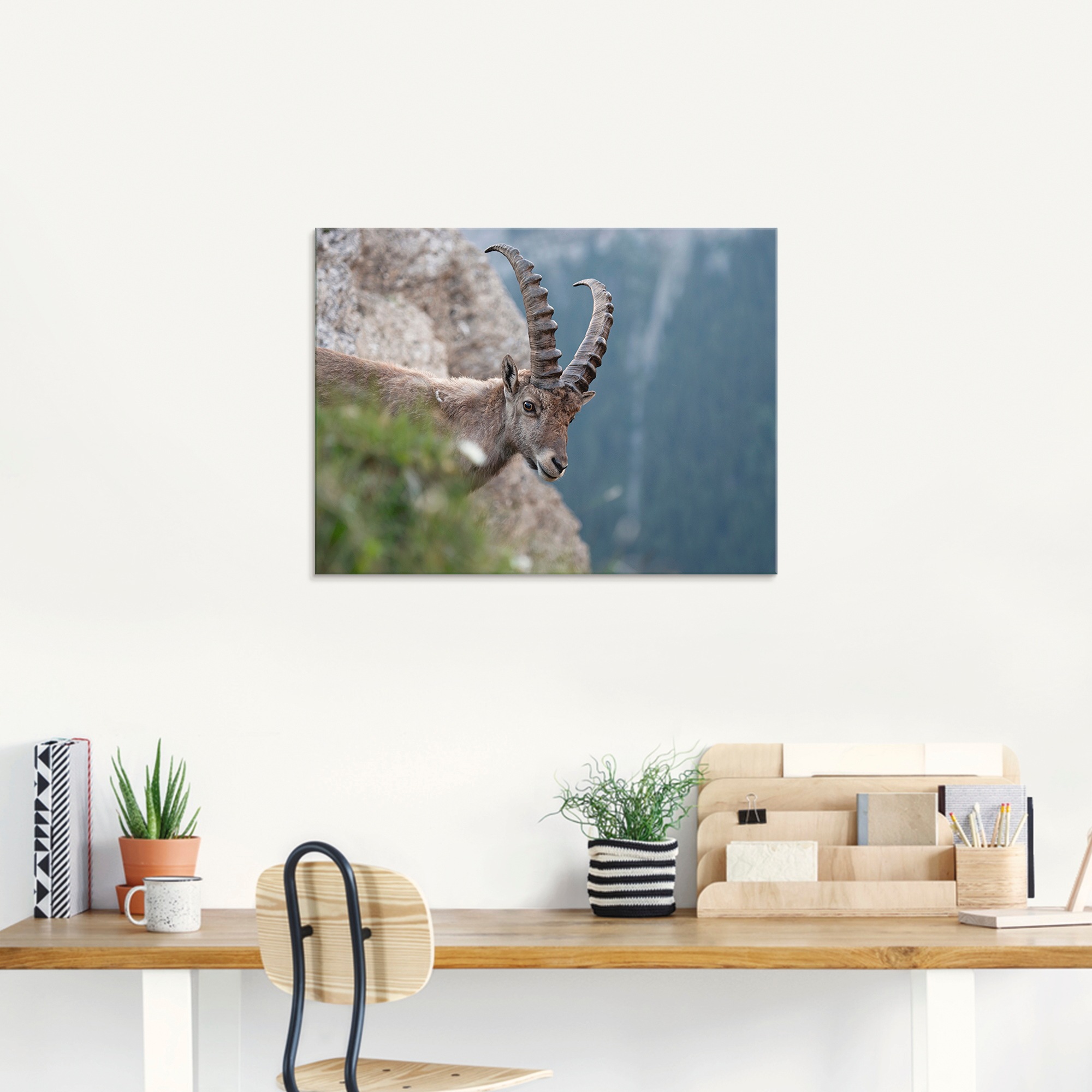 Artland Glasbild »Steinbock«, Wildtiere, (1 St.), in verschiedenen Größen