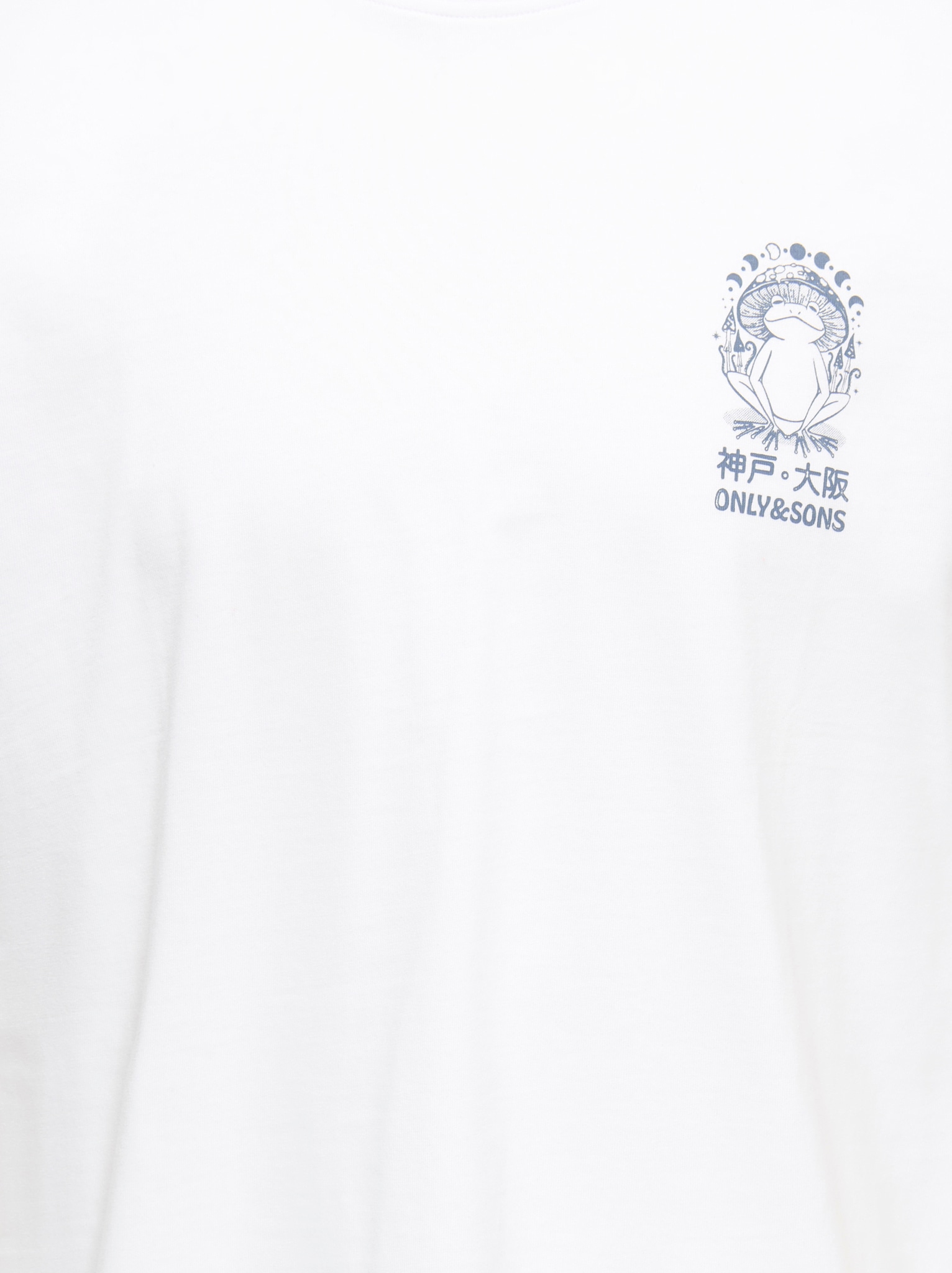 ONLY & SONS T-Shirt »ONSFRED LIFE RLX SS PRINT TEE NOOS« Baumwolle, relaxed fit