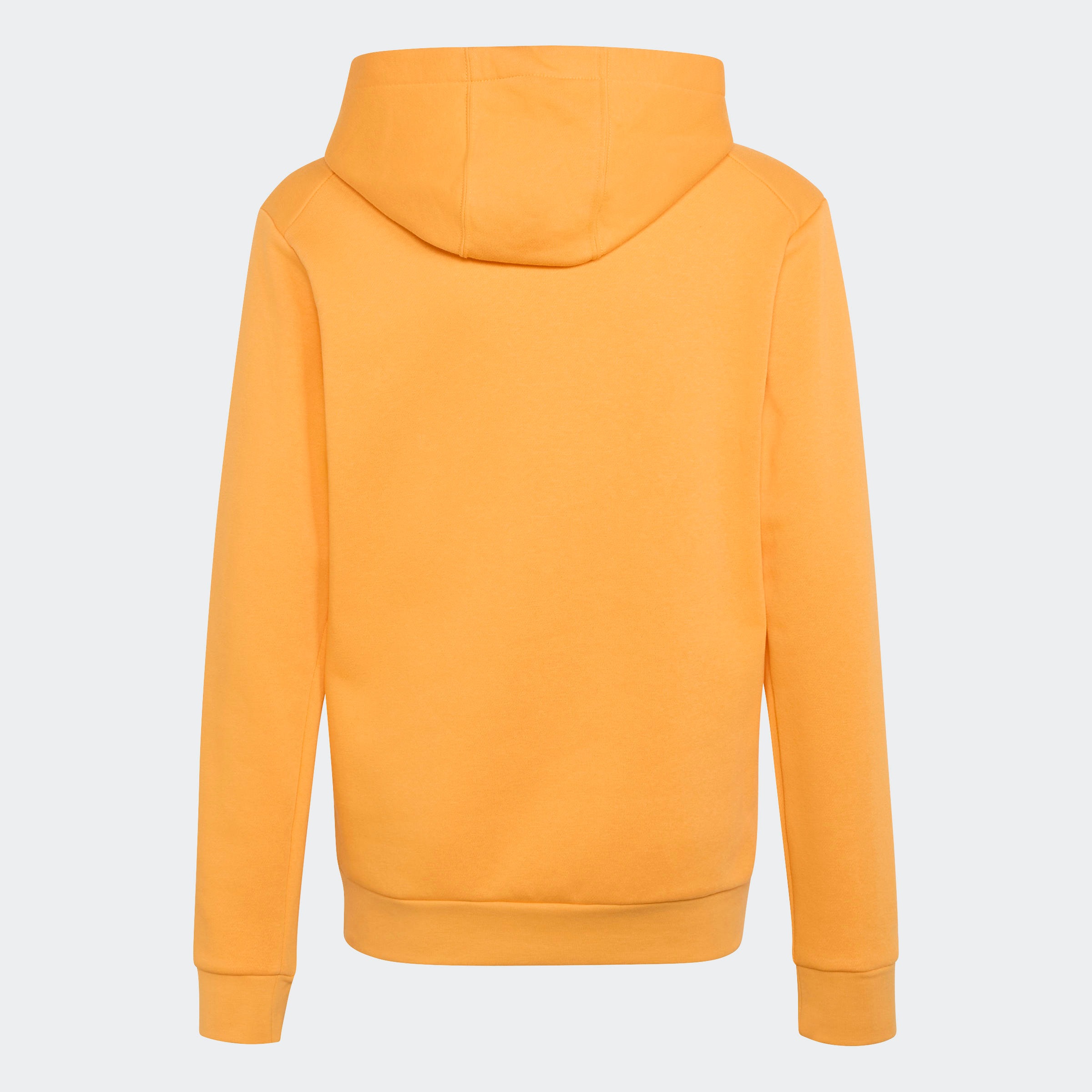 adidas TERREX Kapuzensweatshirt »K MT LOGO HD«
