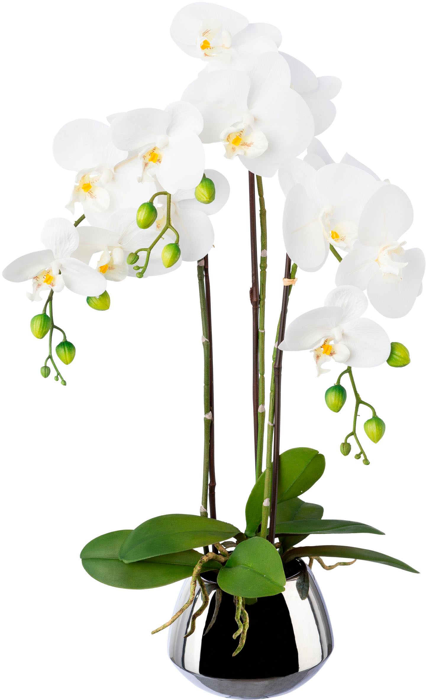 Creativ green Kunstorchidee »Phalaenopsis«, (1 St.), im Keramikschiff  bestellen online bei OTTO | Kunstorchideen